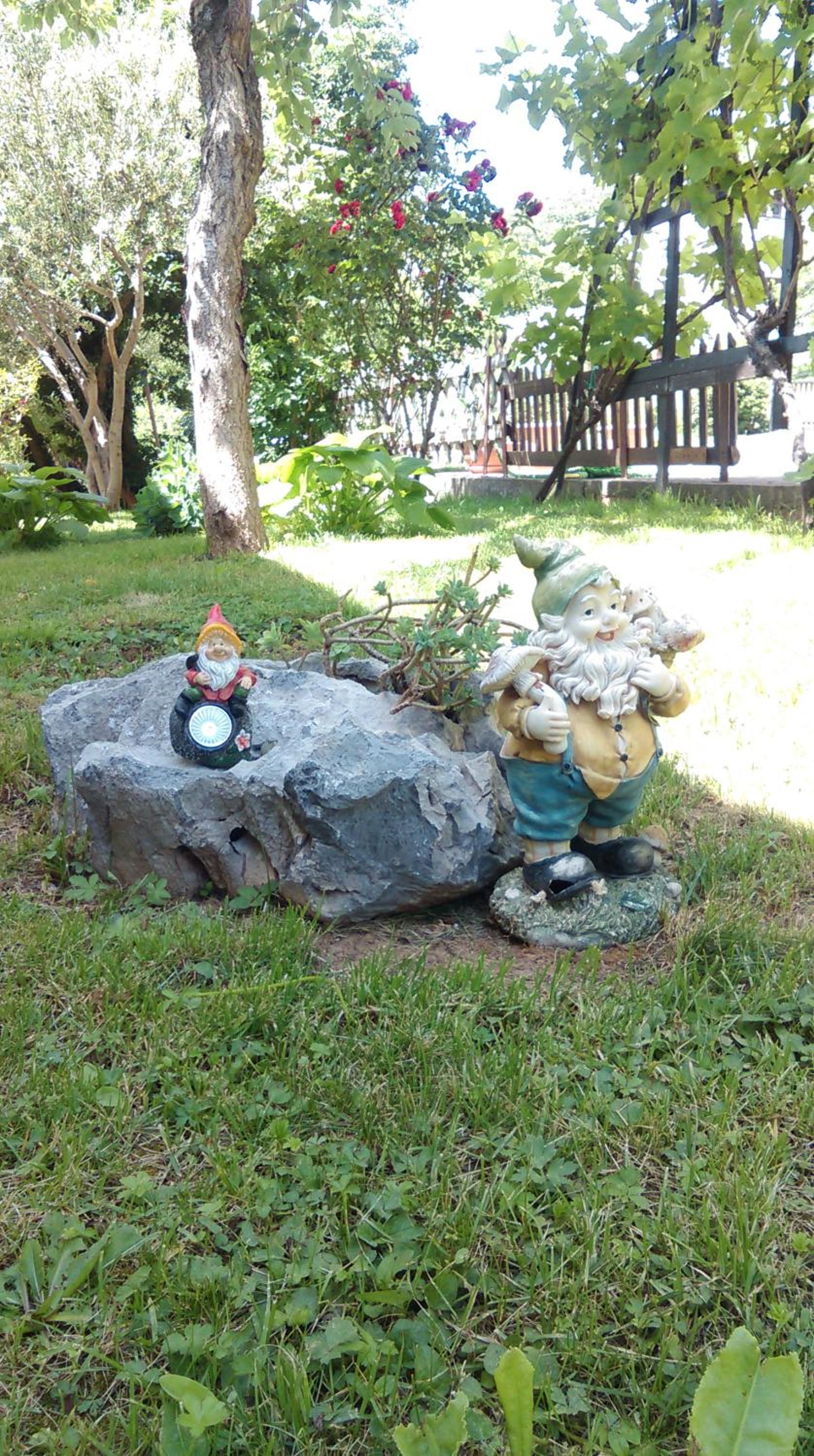 Photo 6