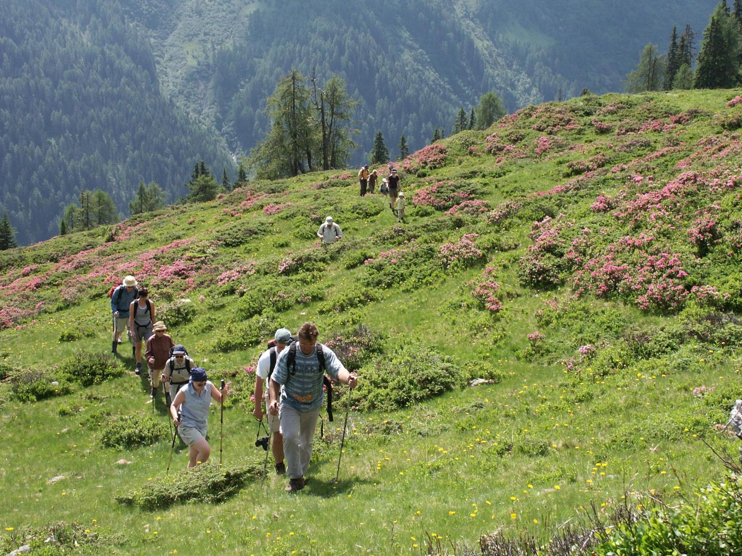 Familienwanderhof Eggeler