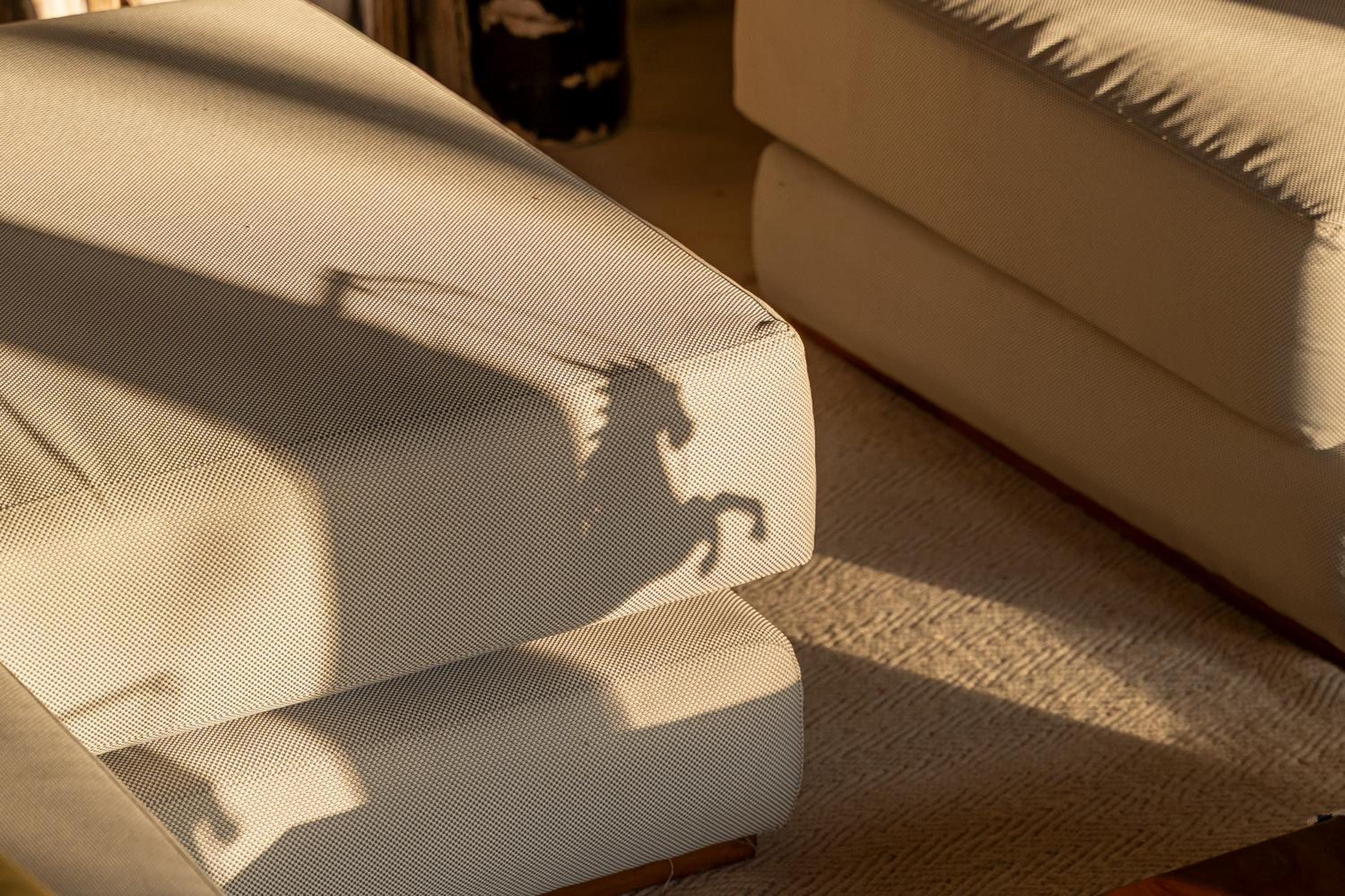 The Suaka Baliaga by Puri Asia