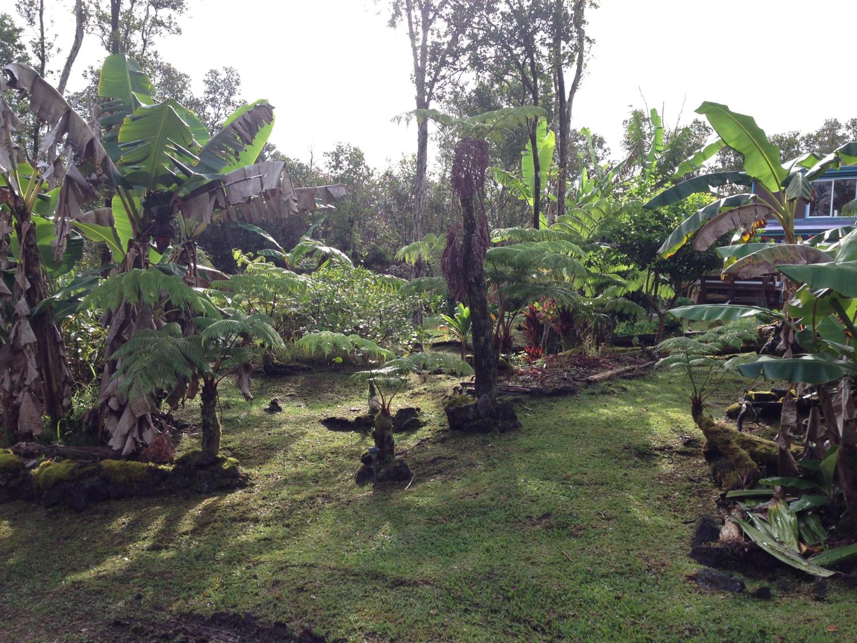 Ixchel Hawaii Volcano