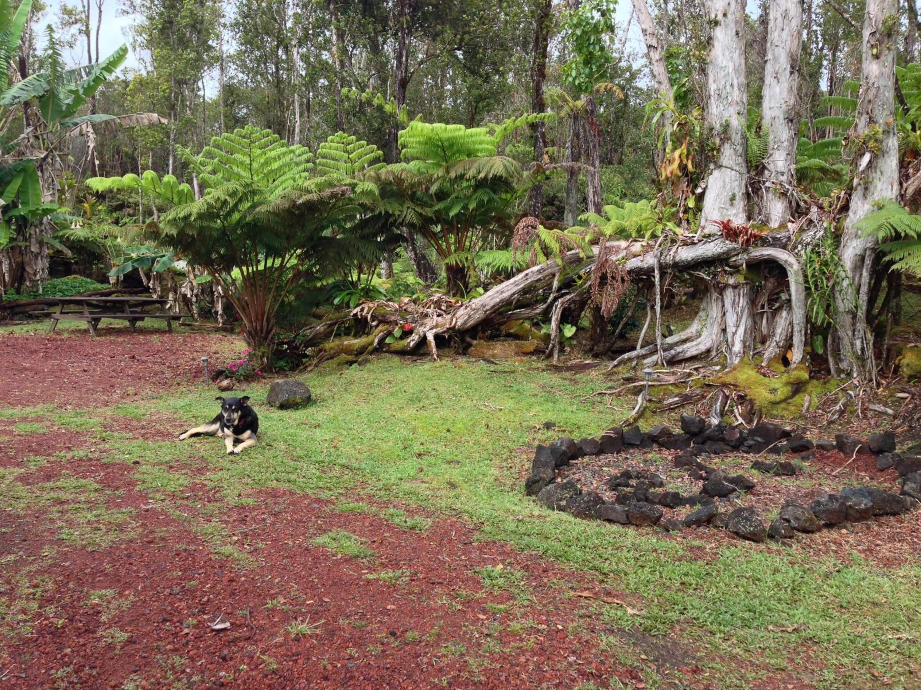 Ixchel Hawaii Volcano