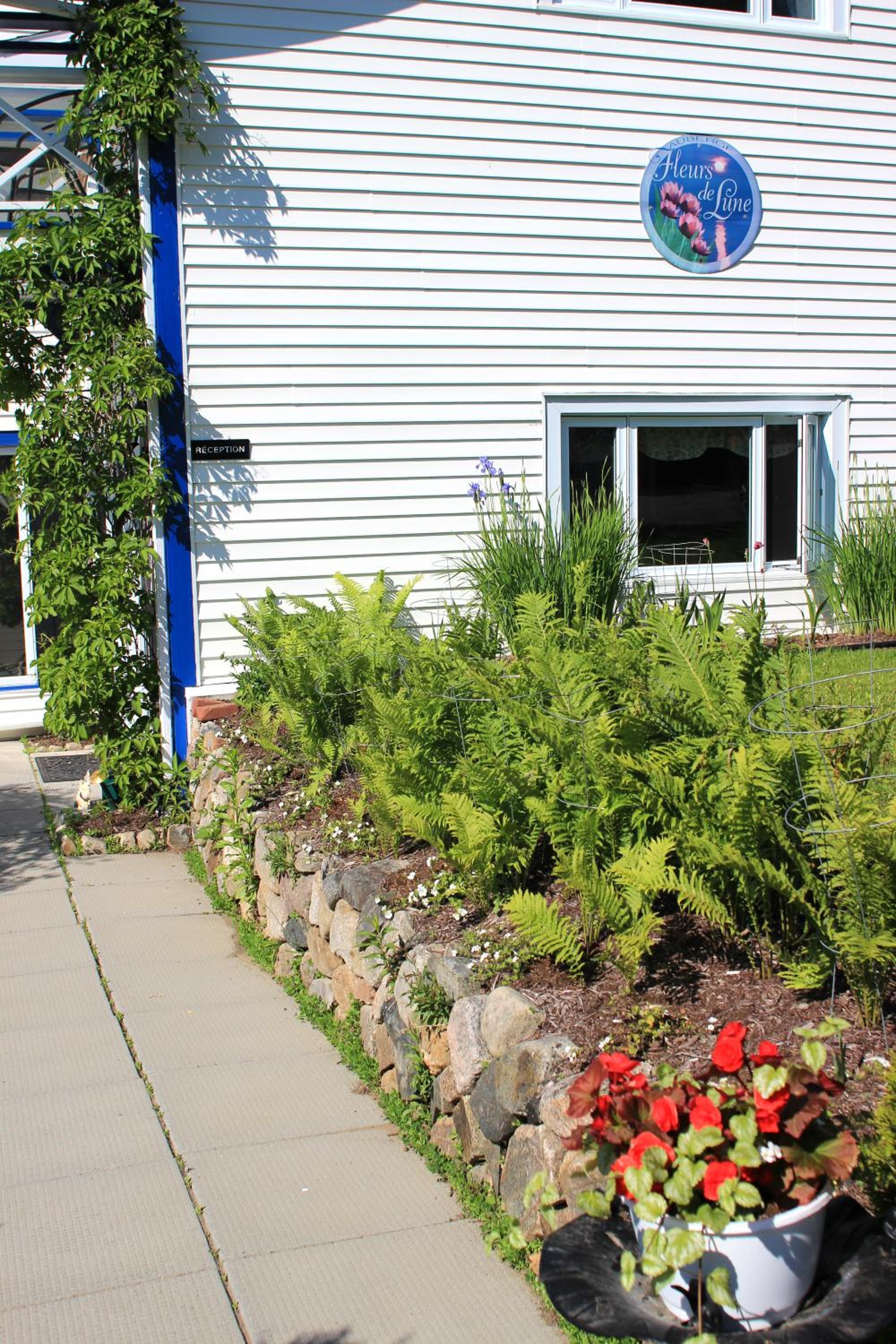 Photo 43