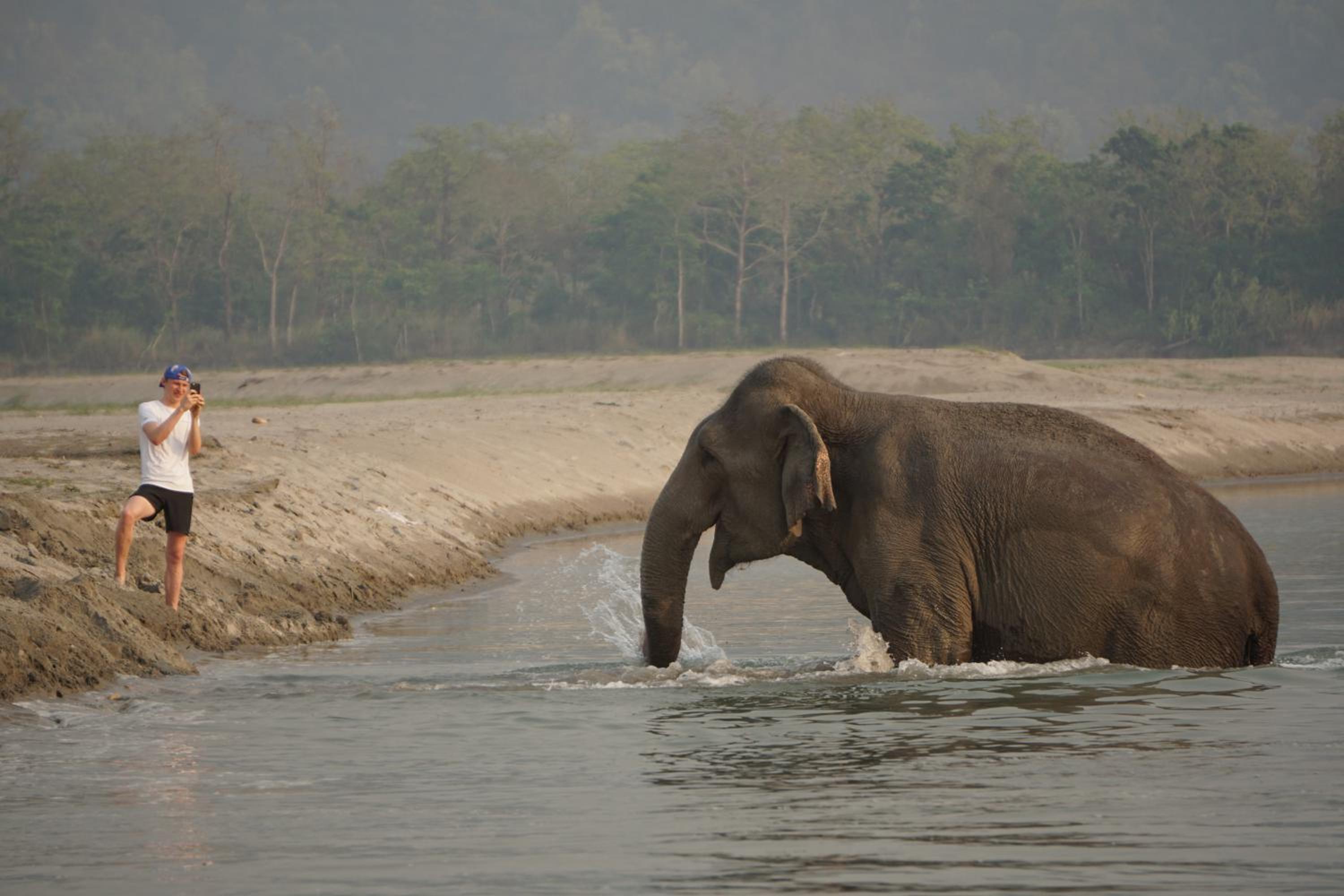 Tiger Tops Tharu Lodge
