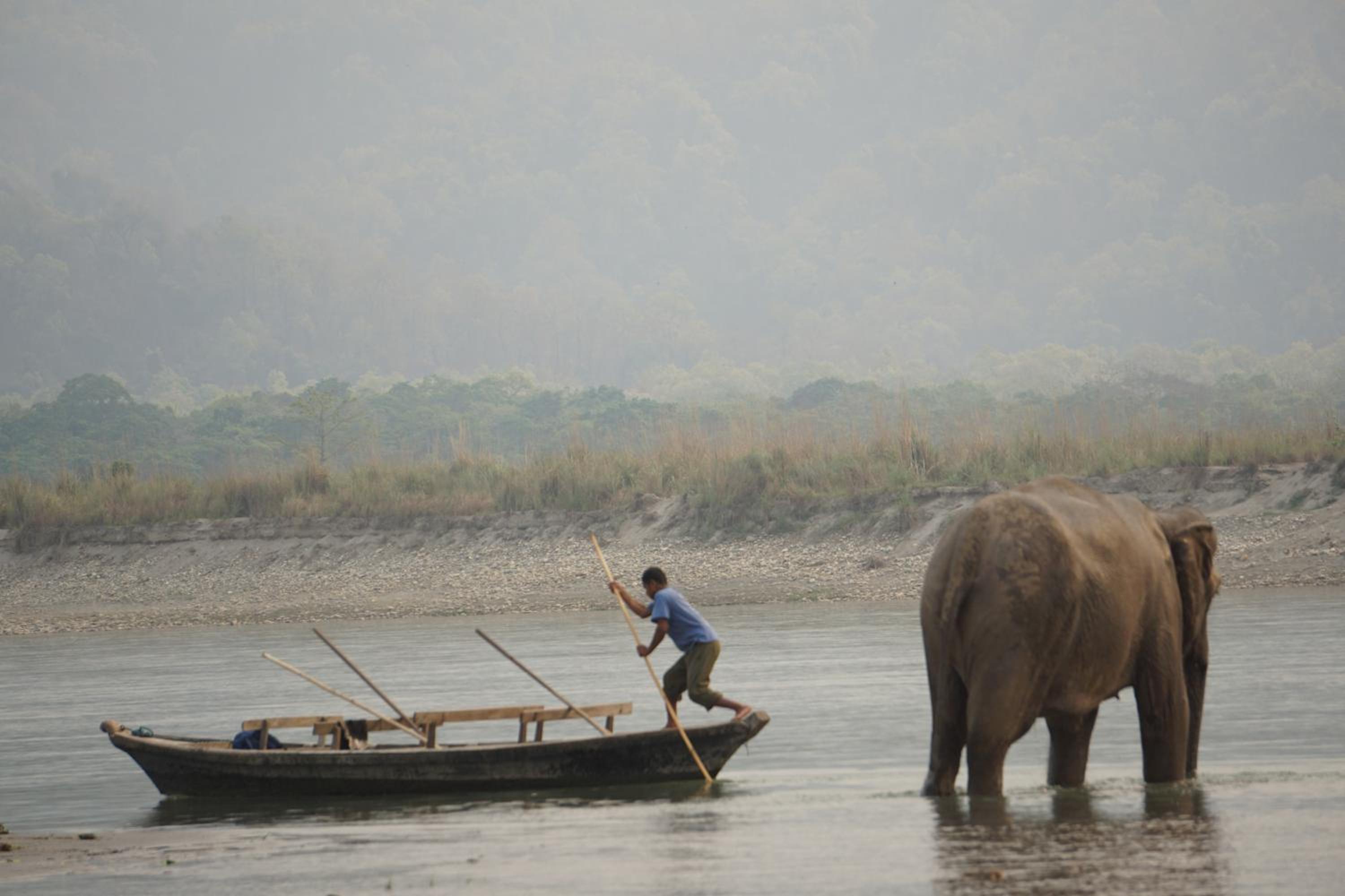 Tiger Tops Tharu Lodge