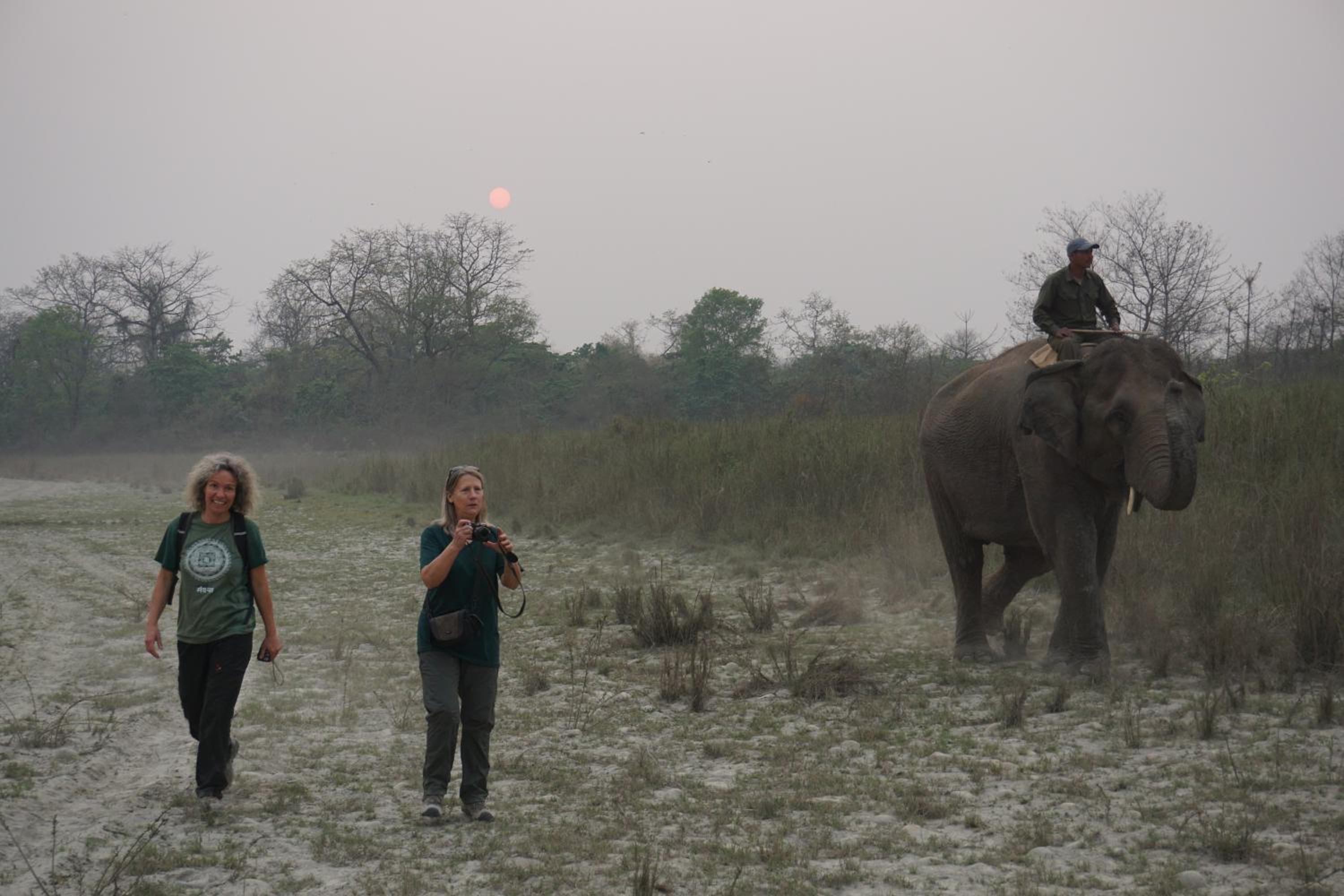 Tiger Tops Tharu Lodge