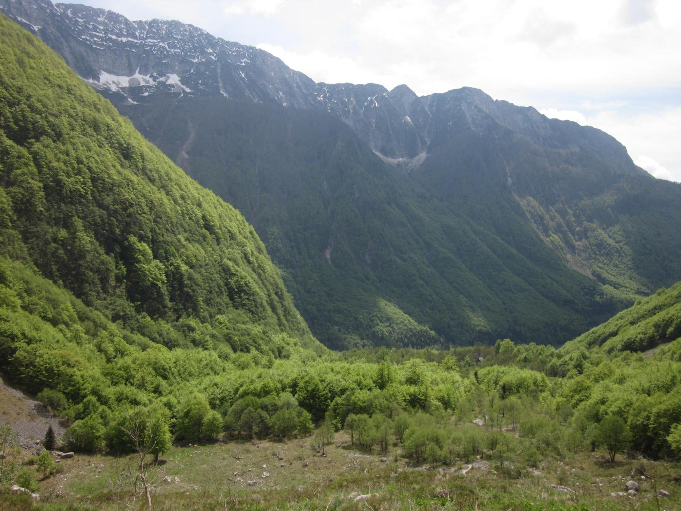 Photo 43