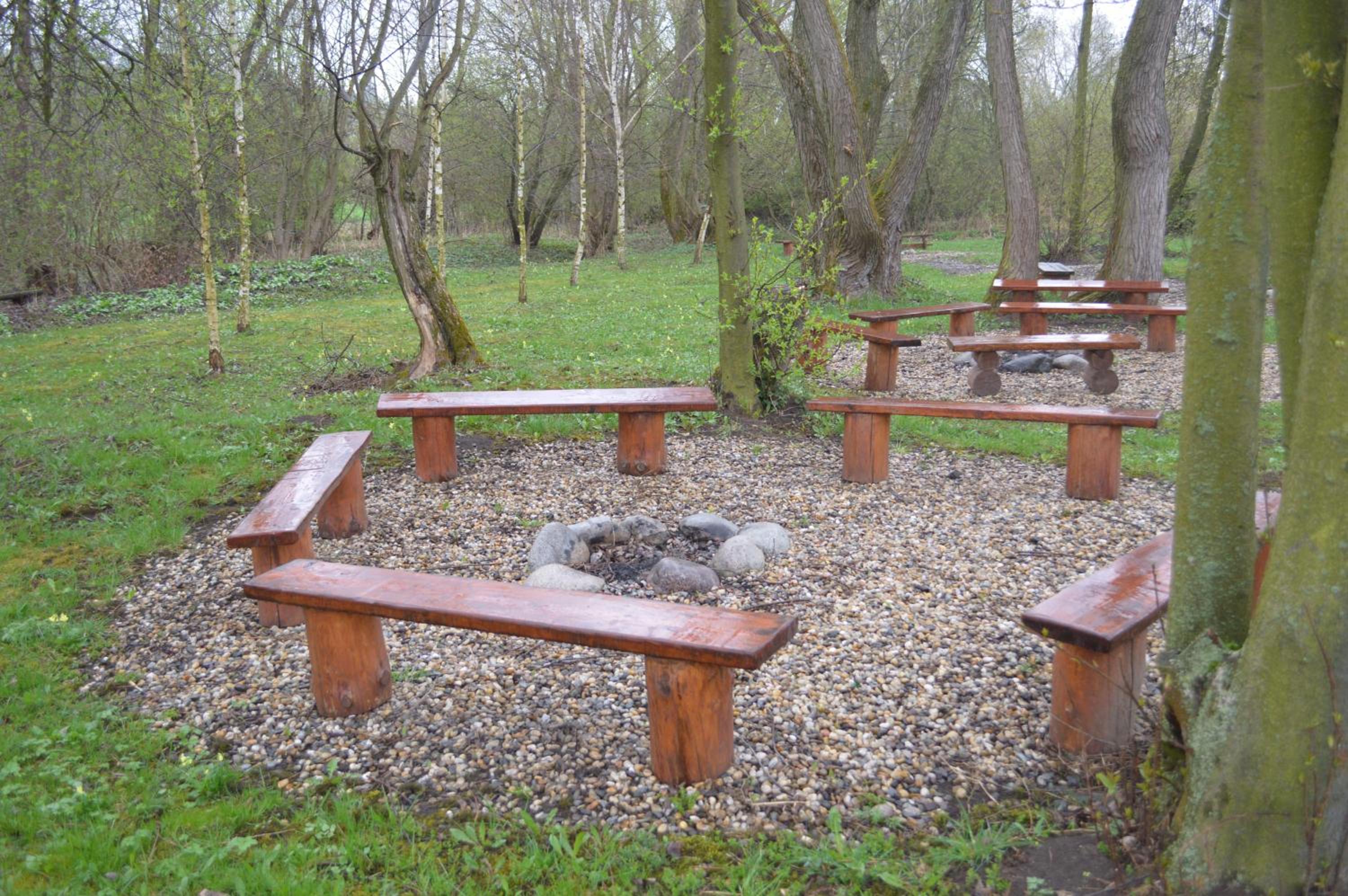 Photo 43