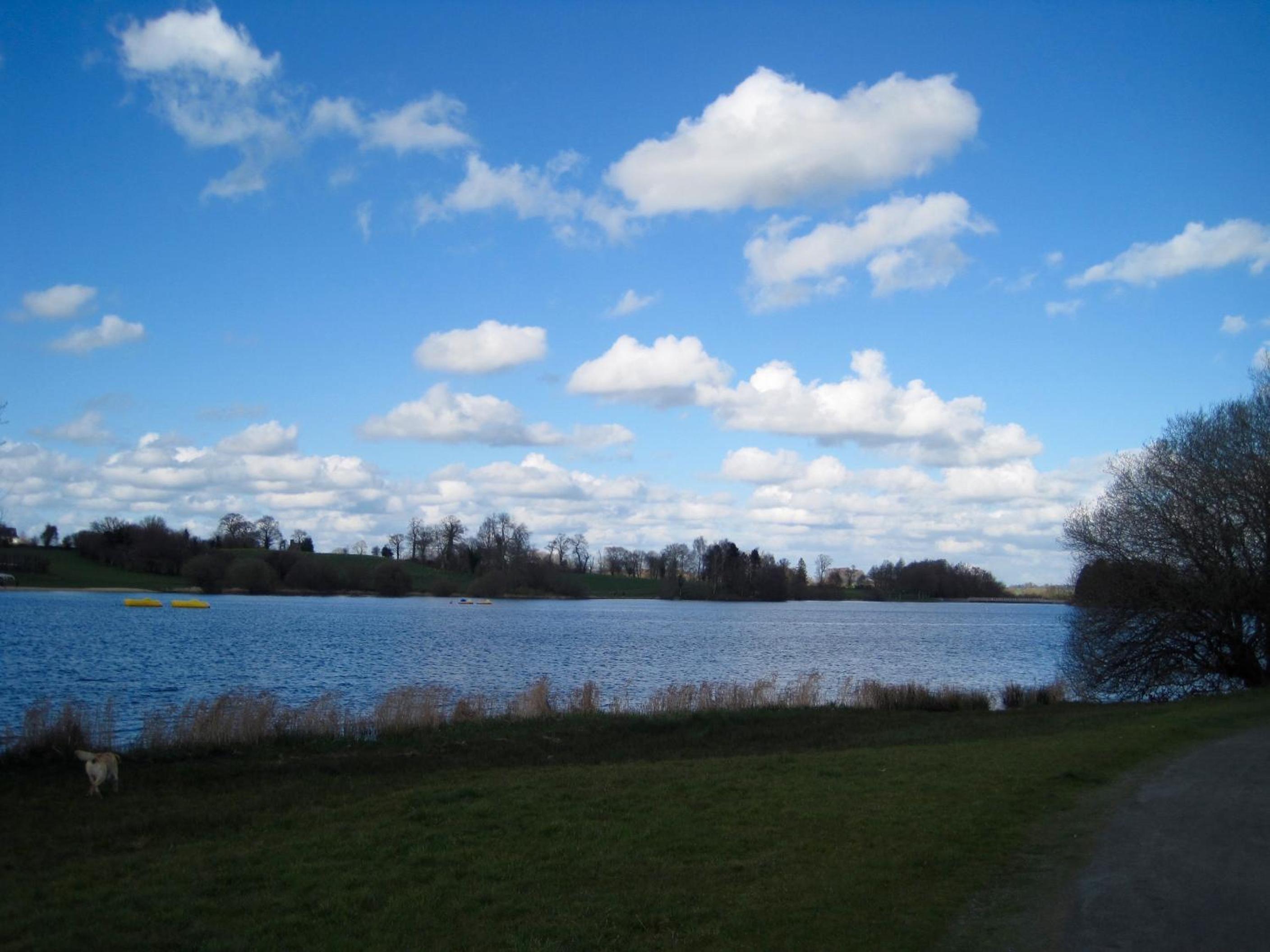 Photo 26