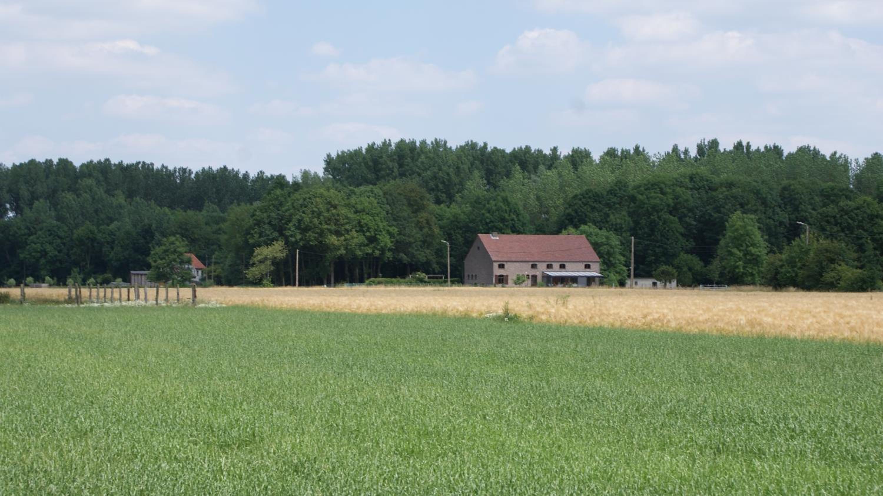 B&B Silentium, photo 48