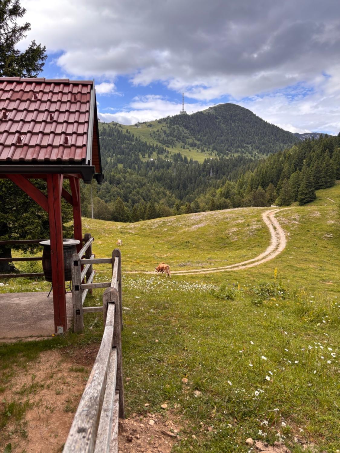 Harmony Resort