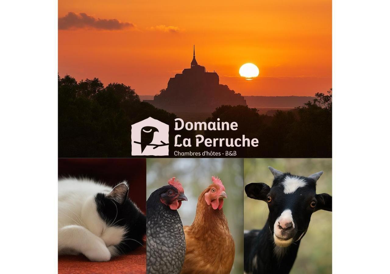Parenthèse poétique face au Mont-Saint-Michel, entre nature vivante, animaux et petit-déjeuner festin