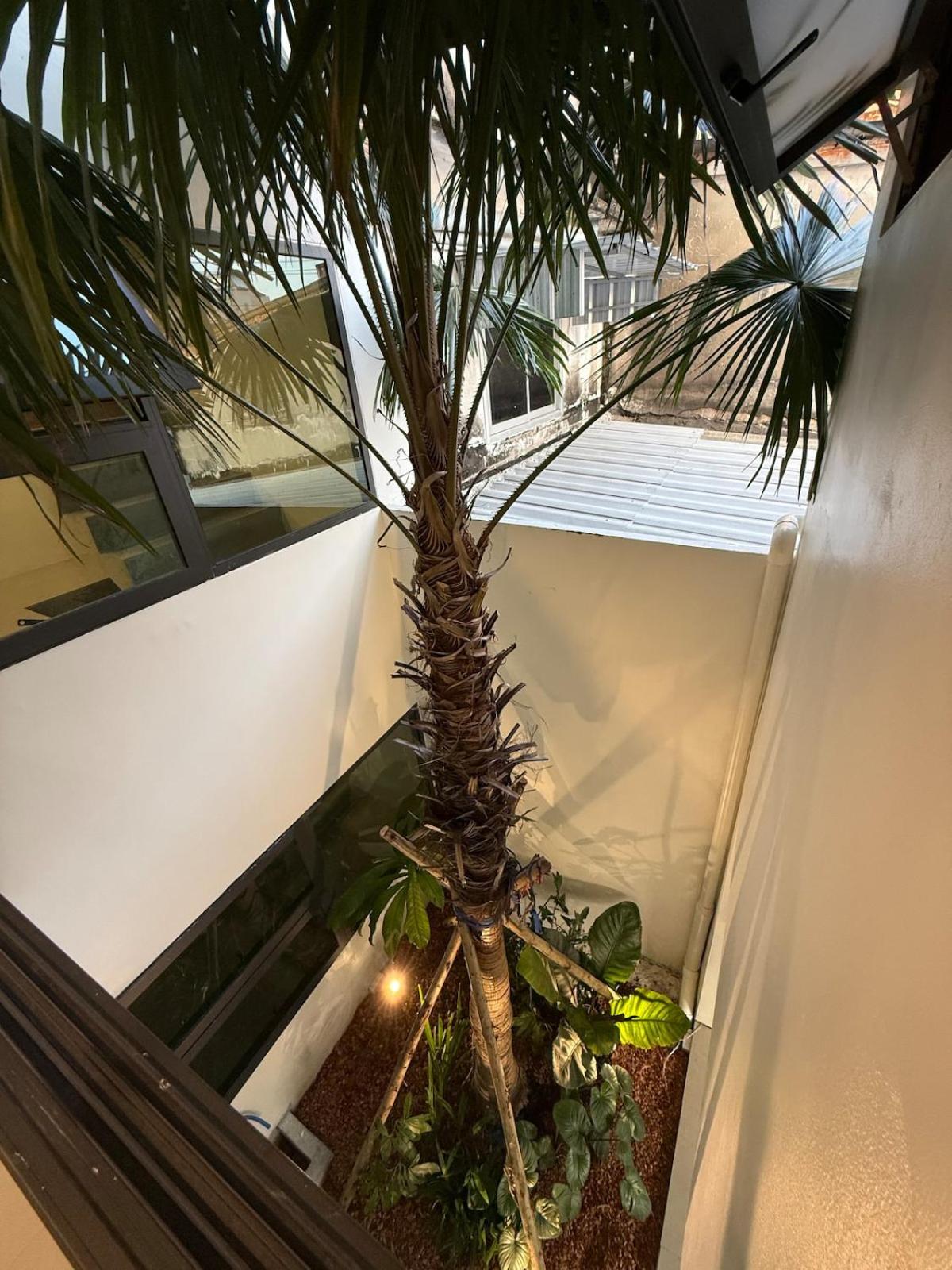 2 Bed & 2 Bath Suite, 5th floor
