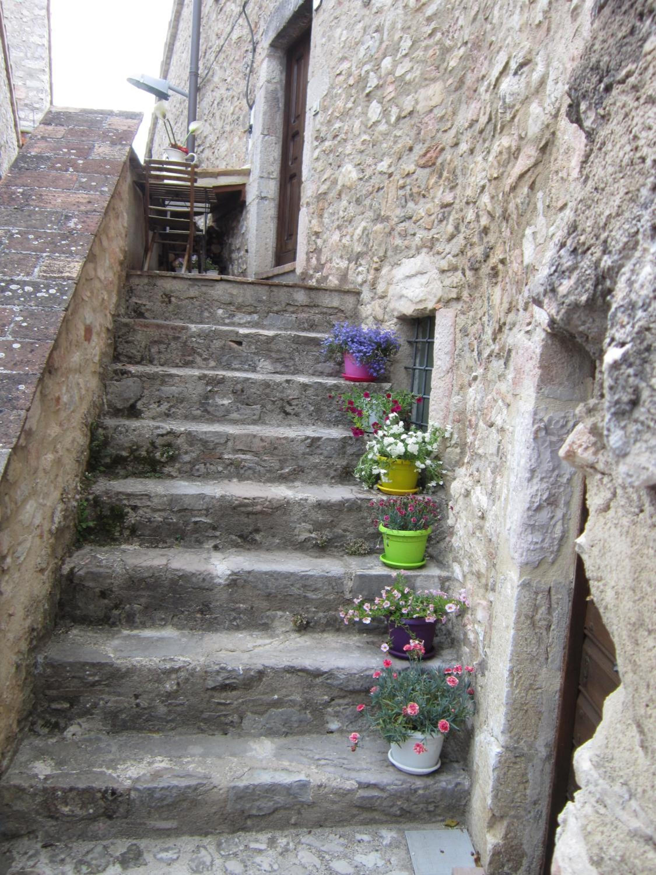 Agriturismo campagna in compagnia