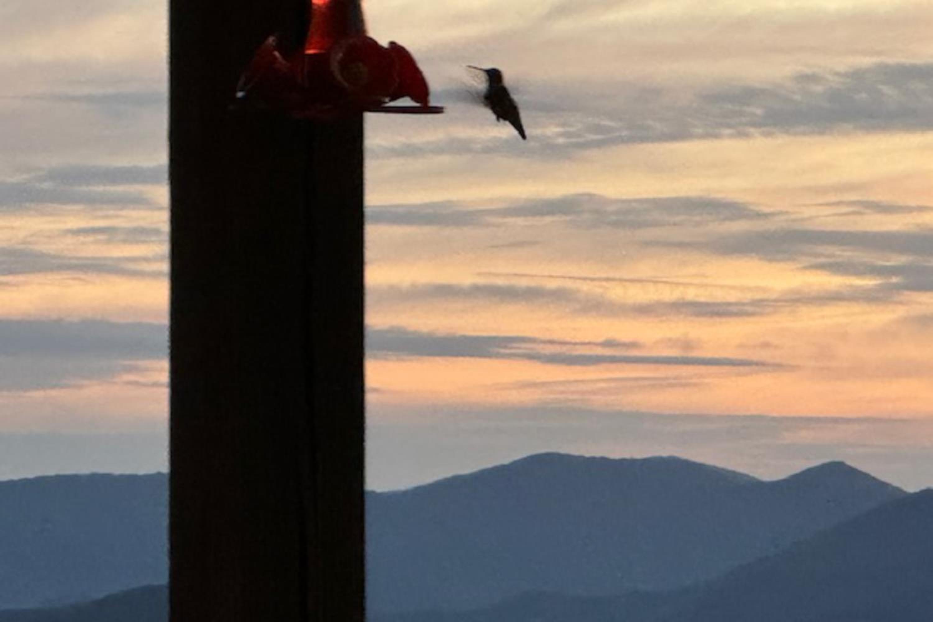 Hot Tub and Stunning Views! Hayesville Retreat