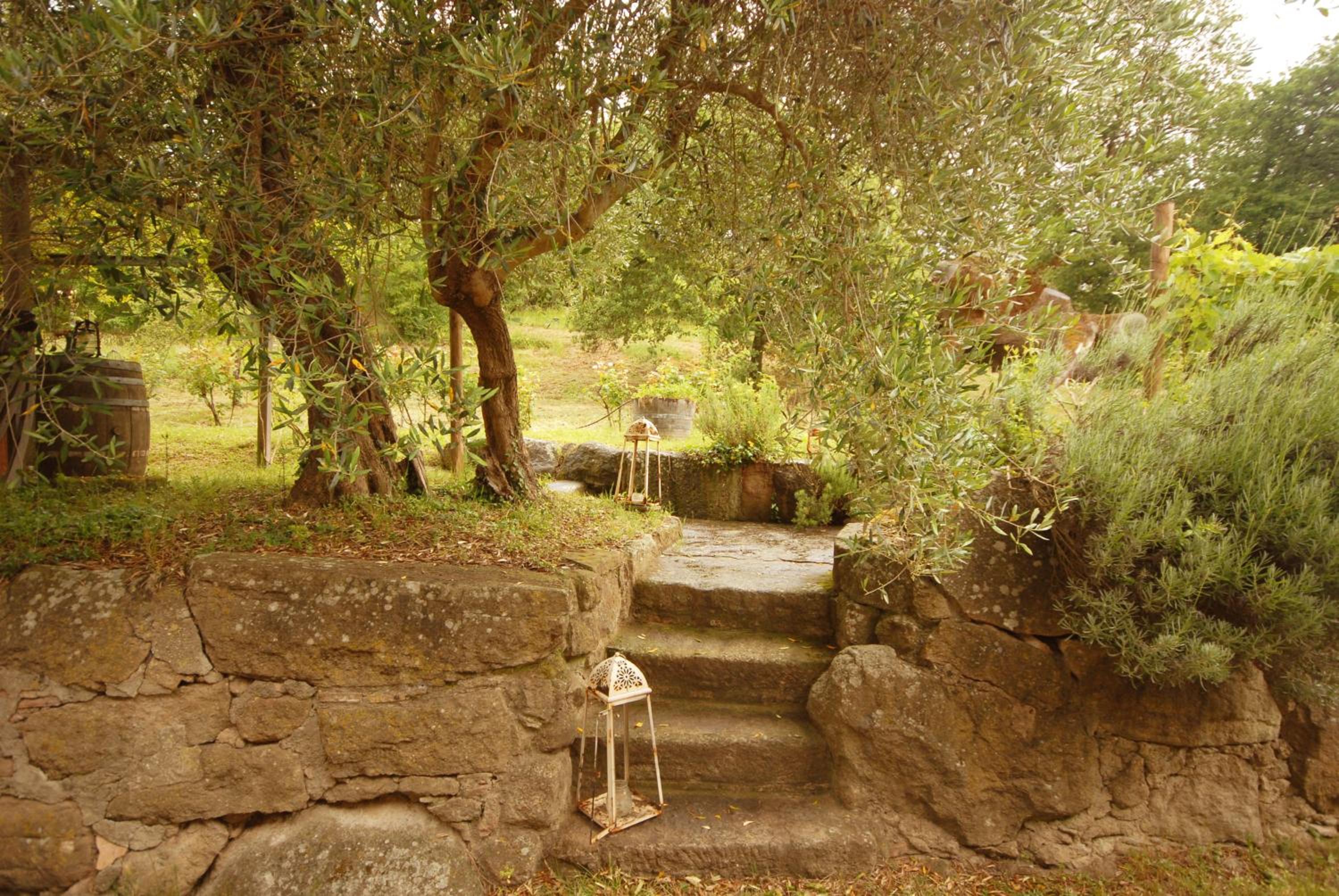 Pieve di Caminino Historic Farm