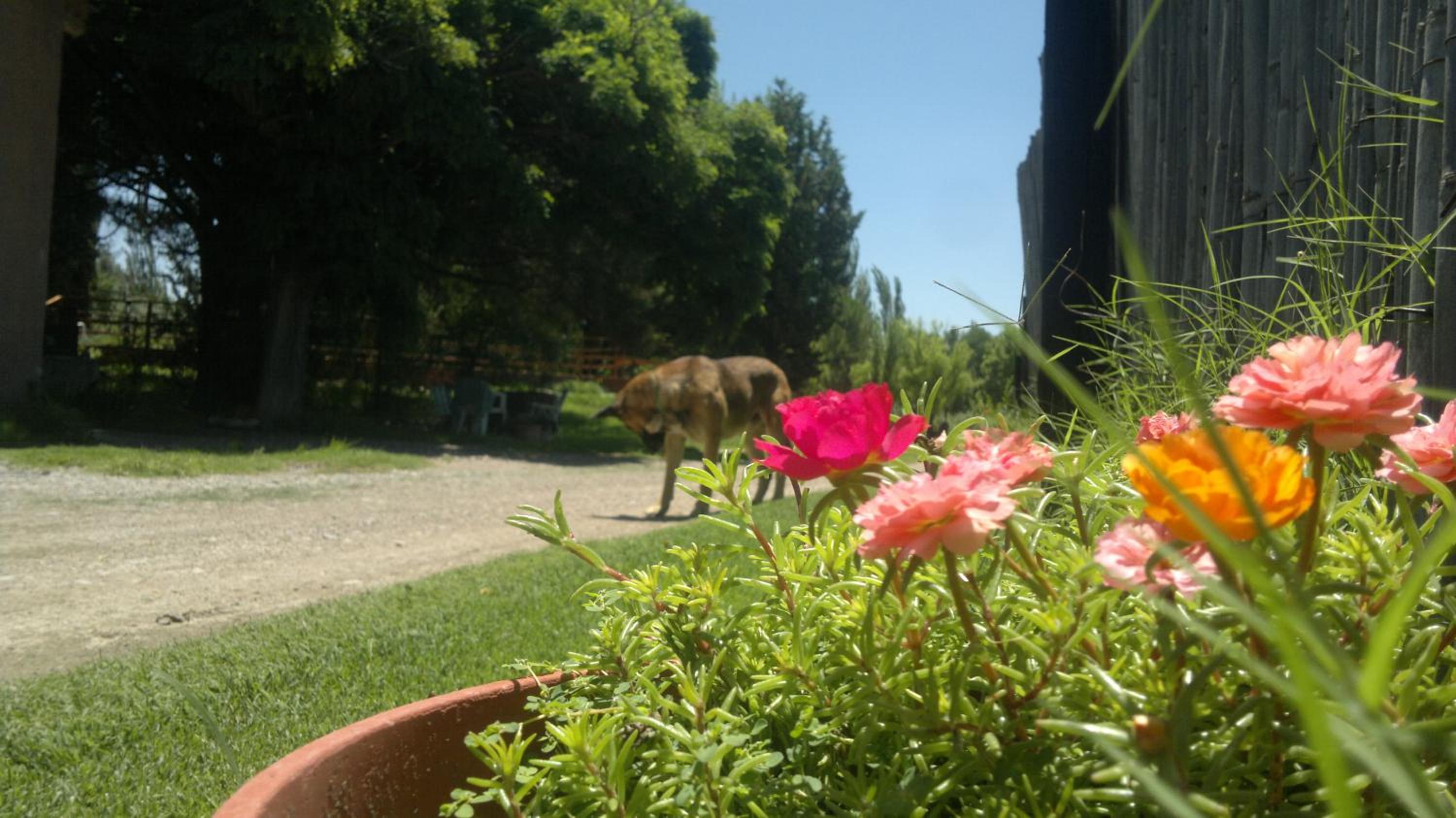 Posada del Viajero San Rafael