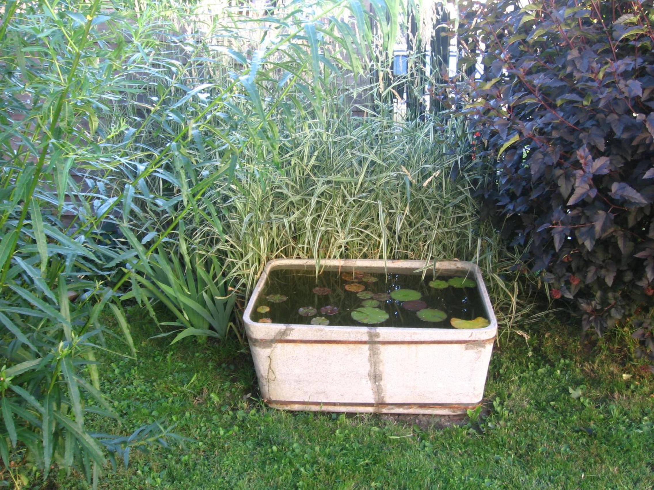 Photo 24