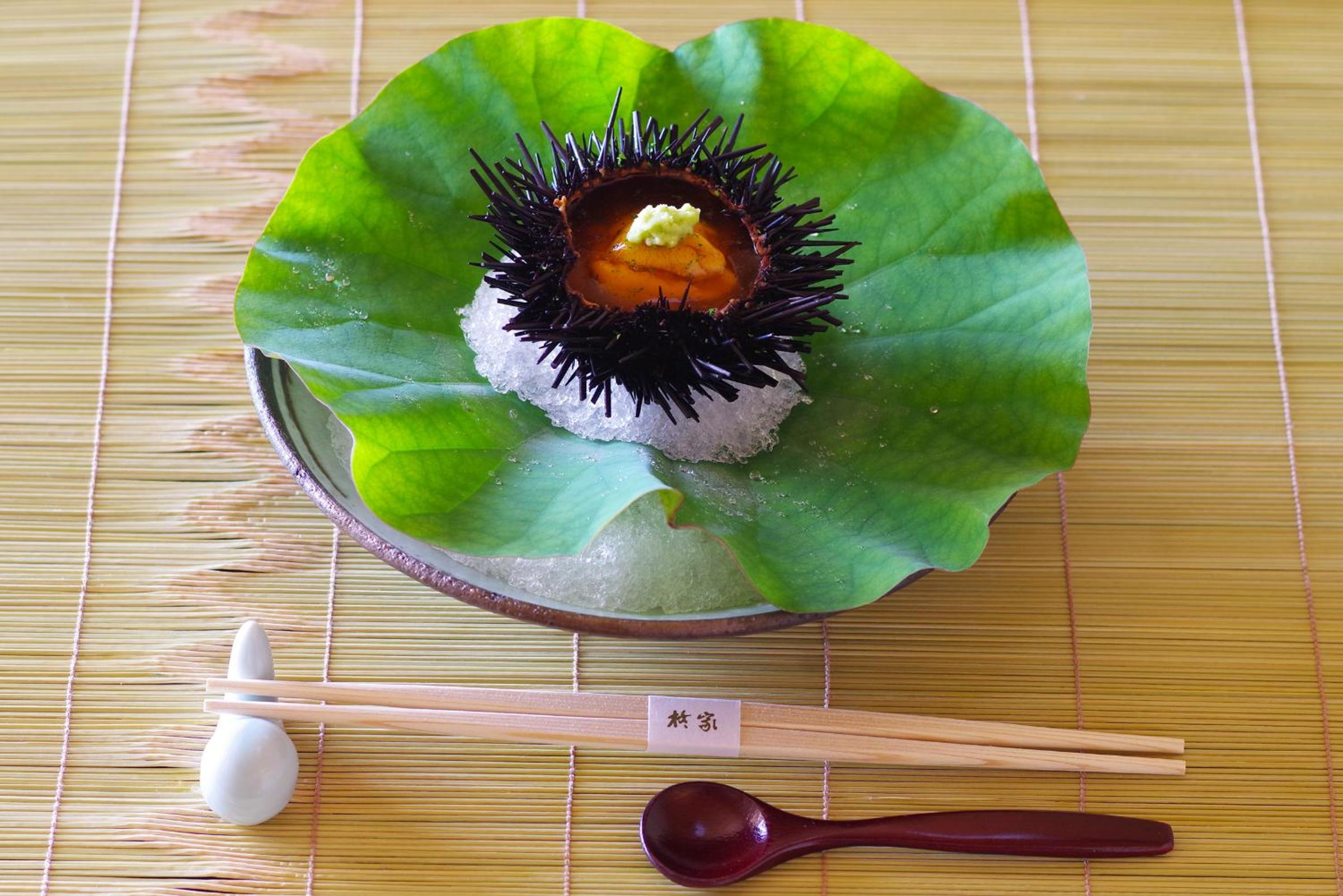 Hiiragiya
