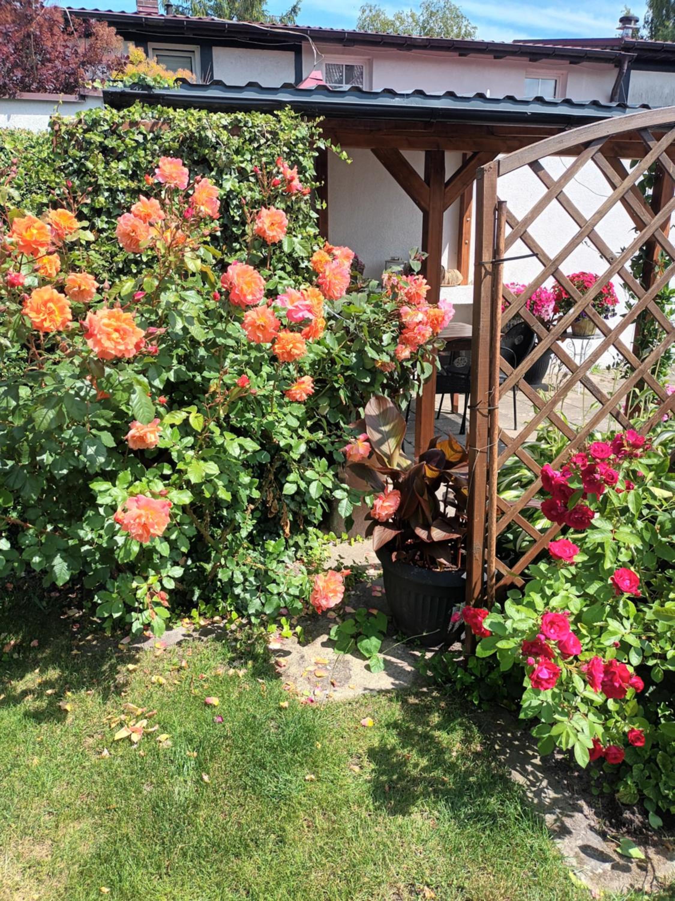 Photo 17
