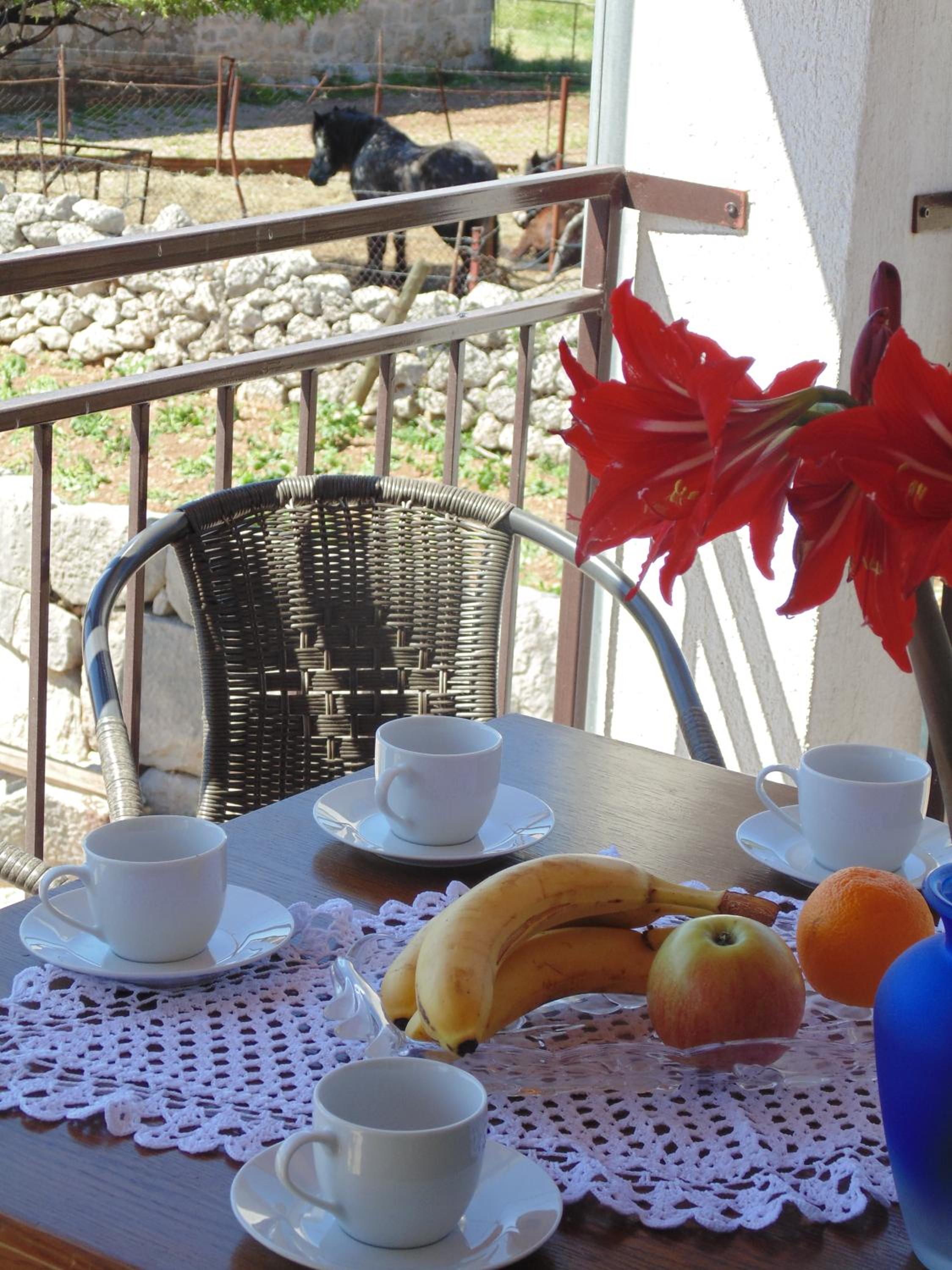 Holiday Home Paklenica