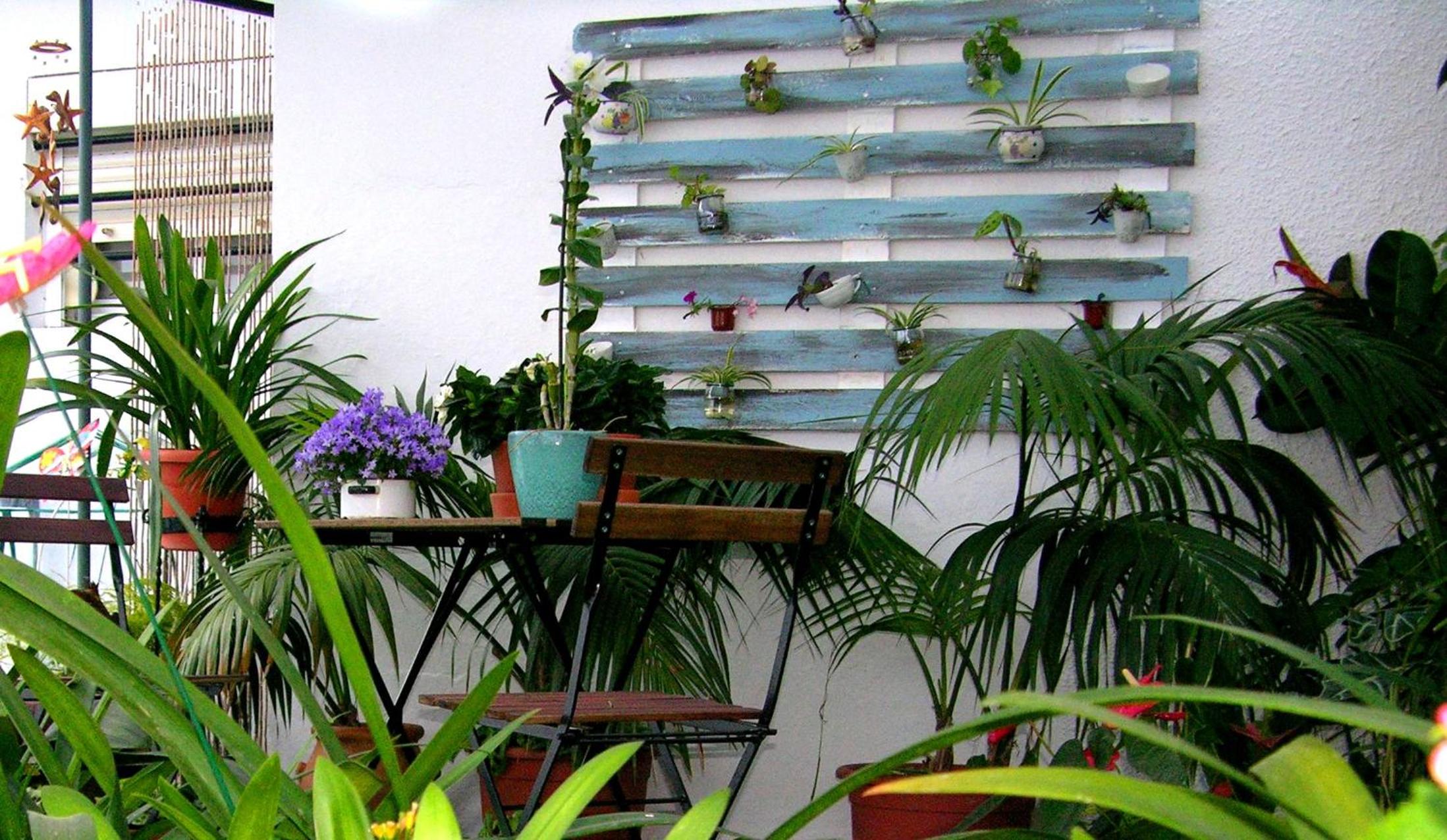 Apartamentos Calypso