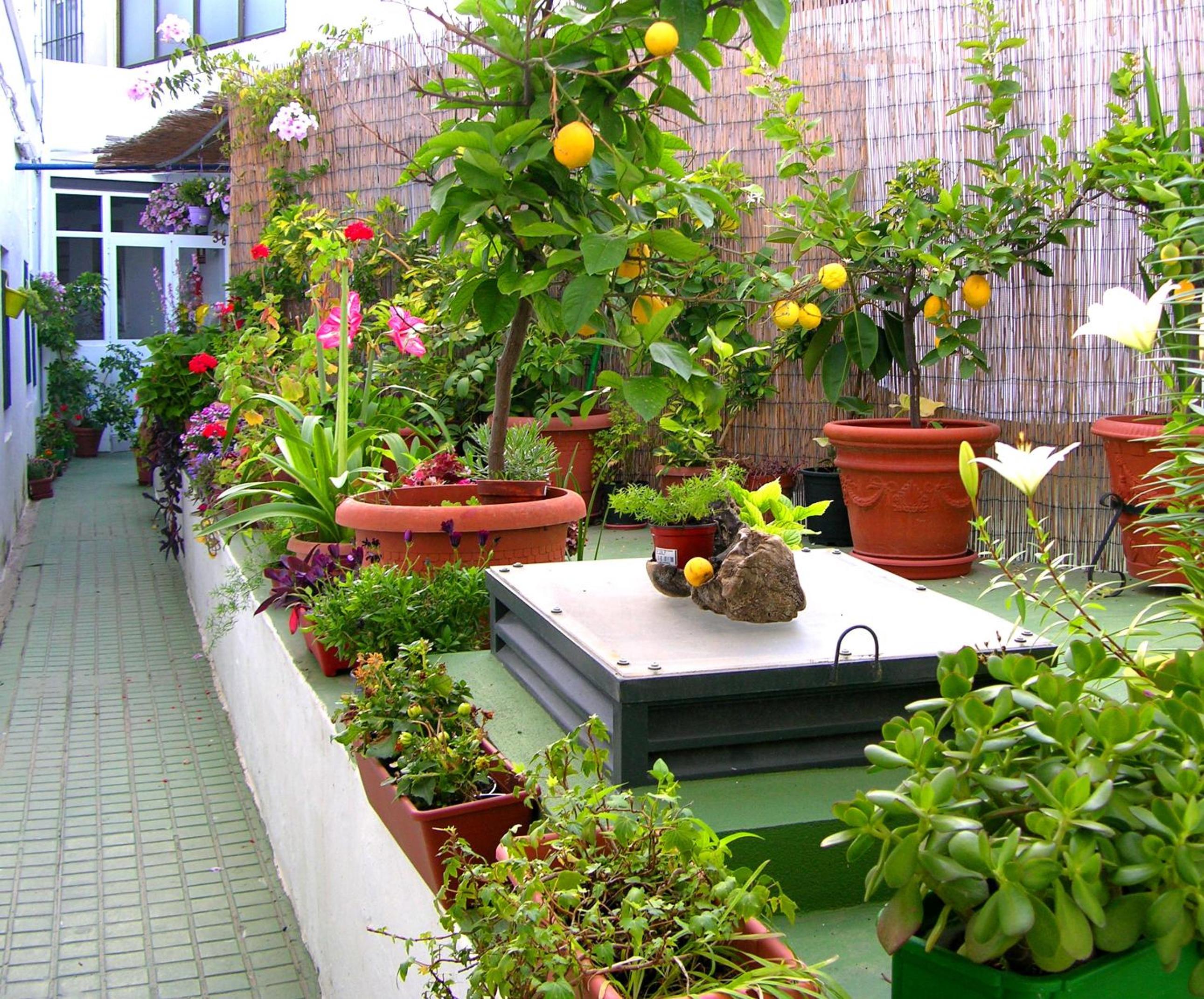 Apartamentos Calypso