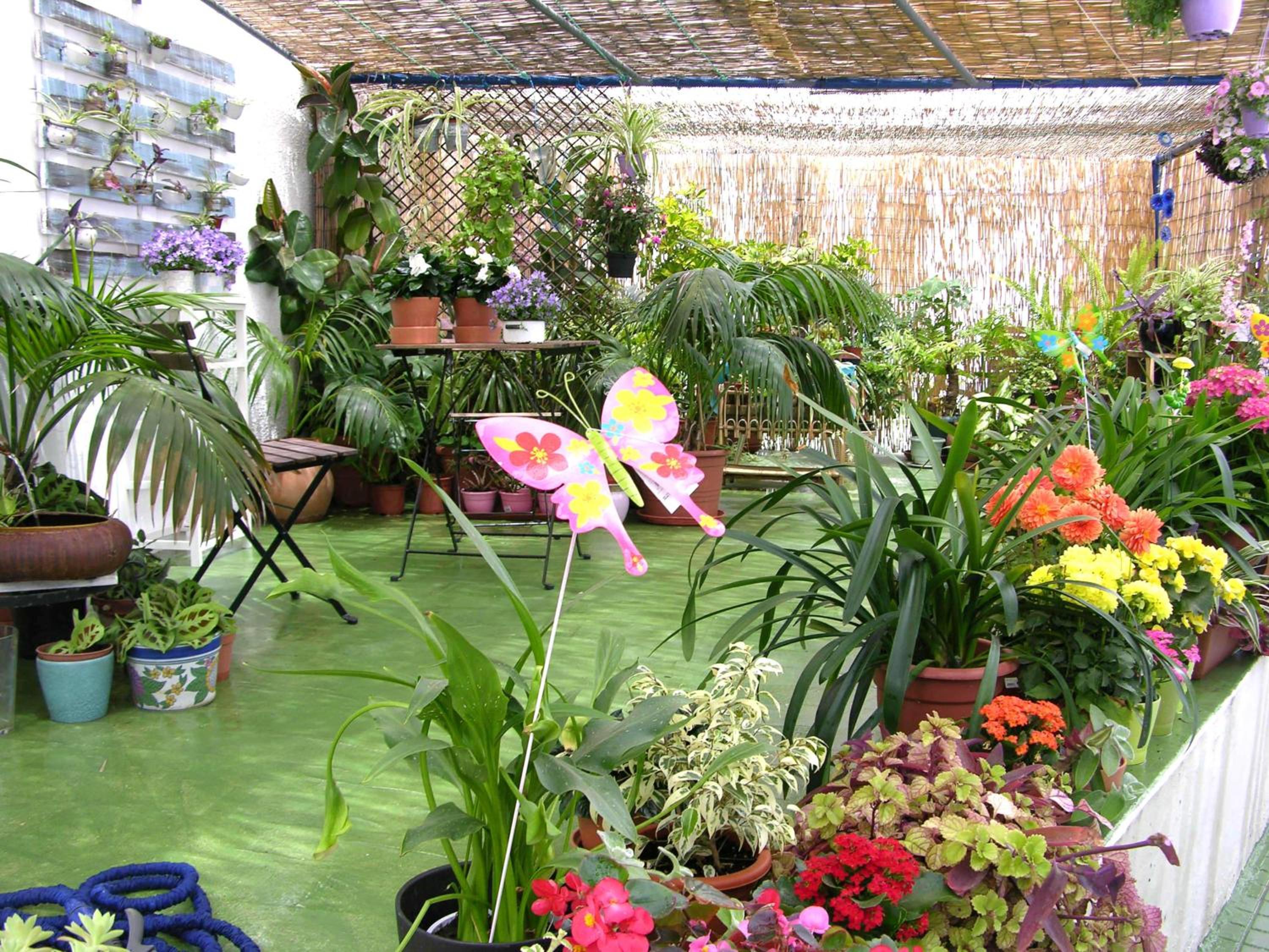Apartamentos Calypso