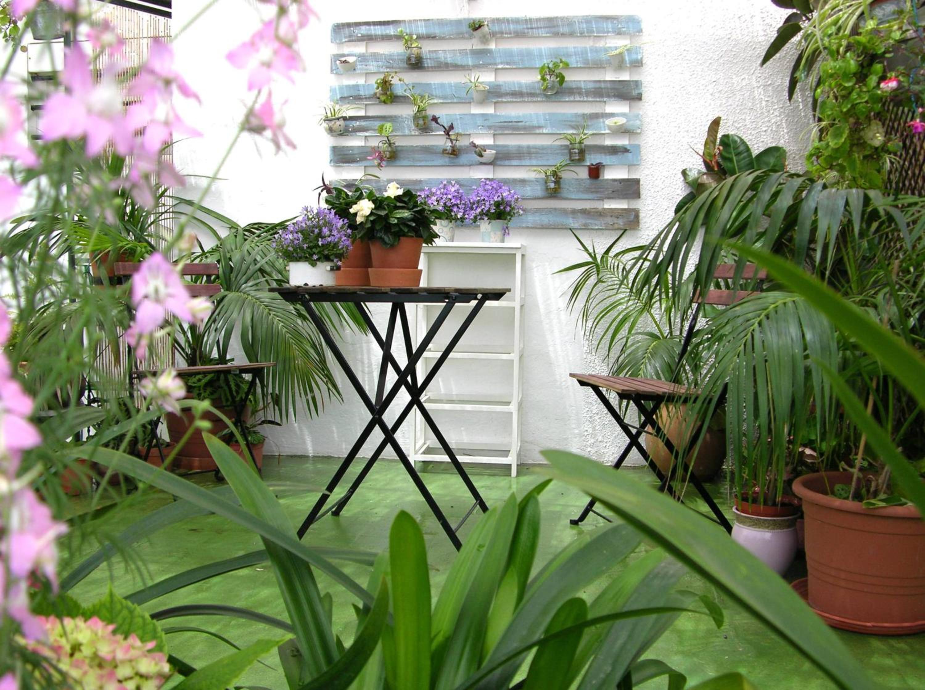 Apartamentos Calypso