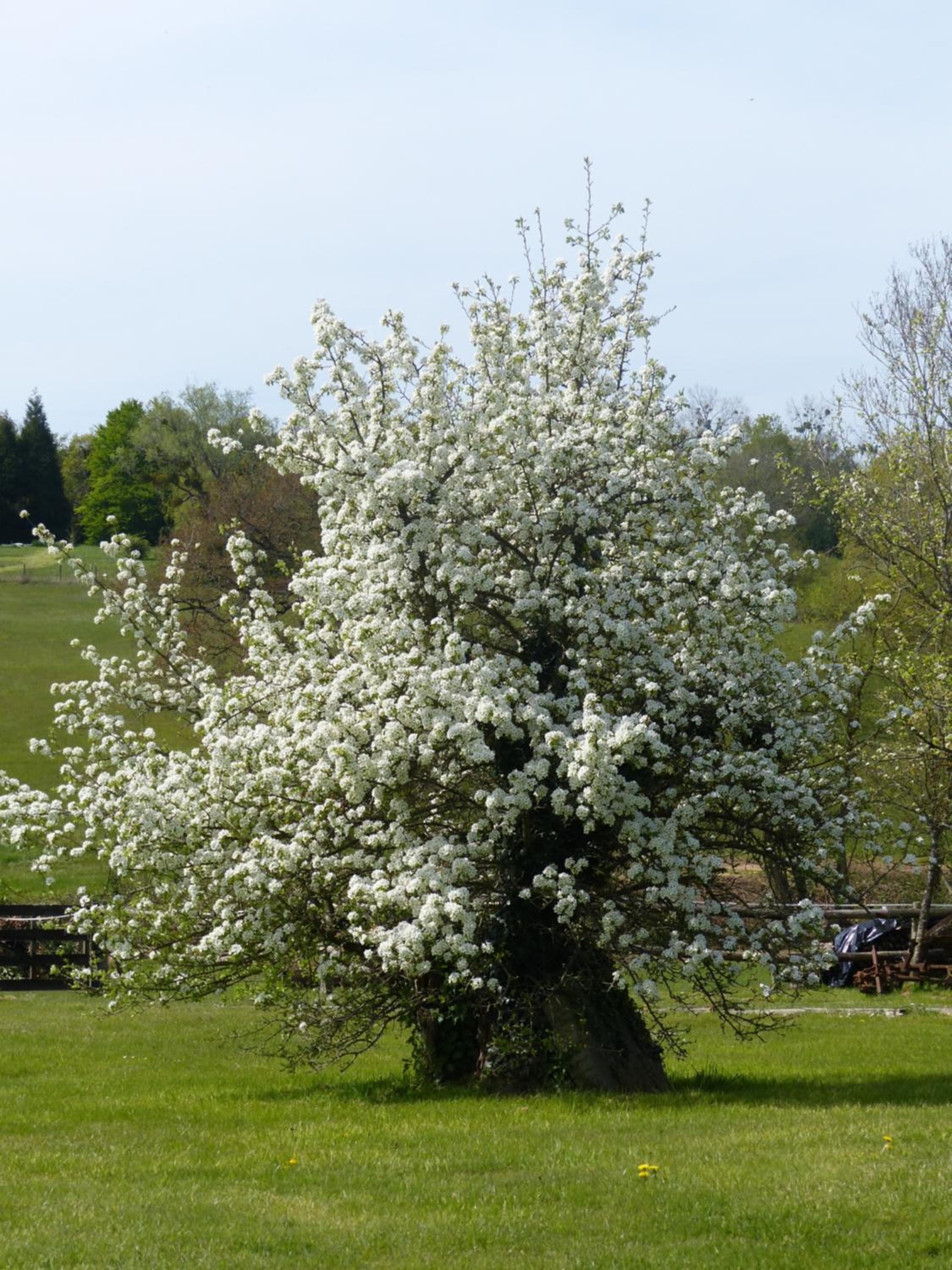 Le Domaine des Tostes