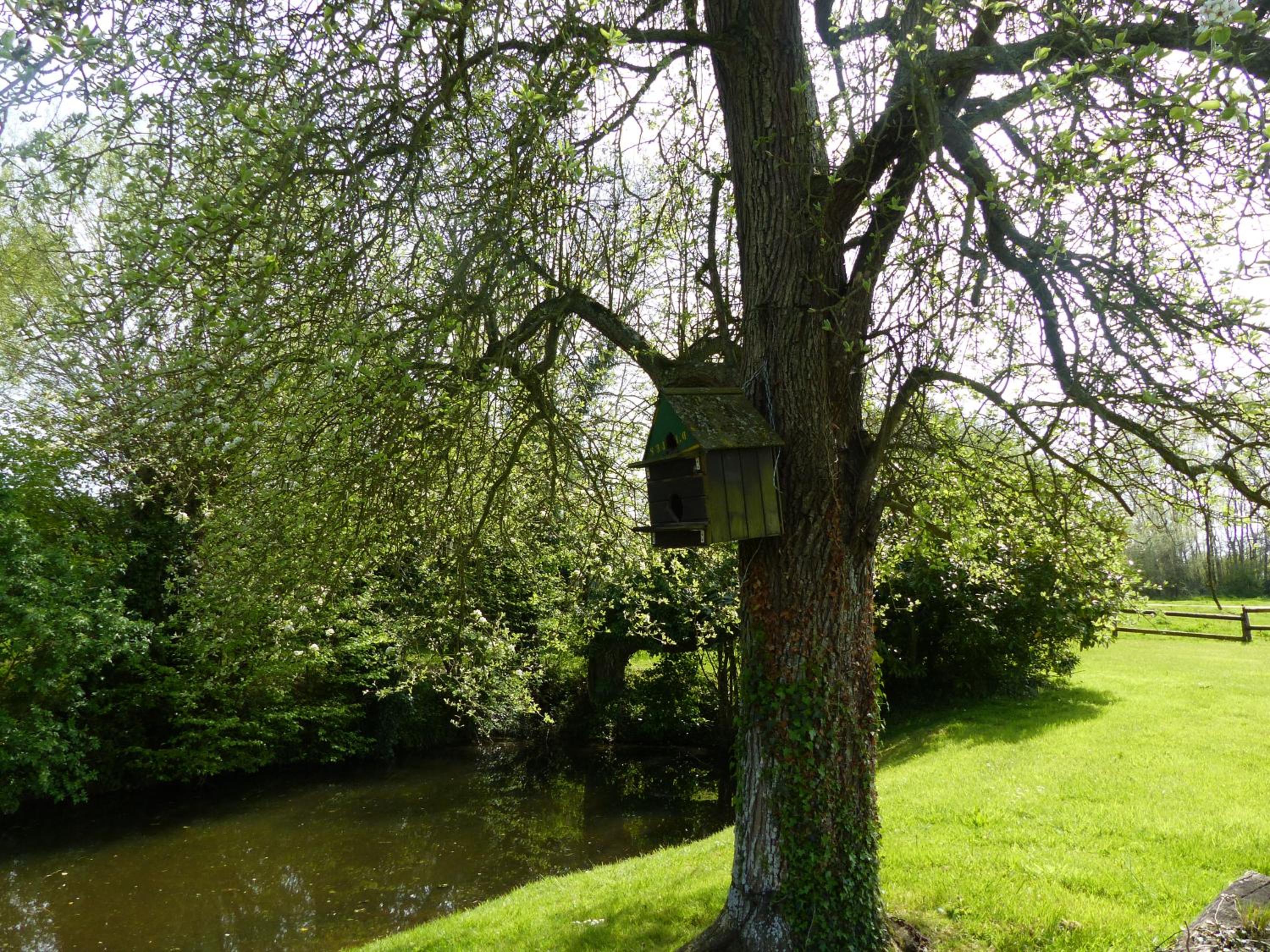 Le Domaine des Tostes