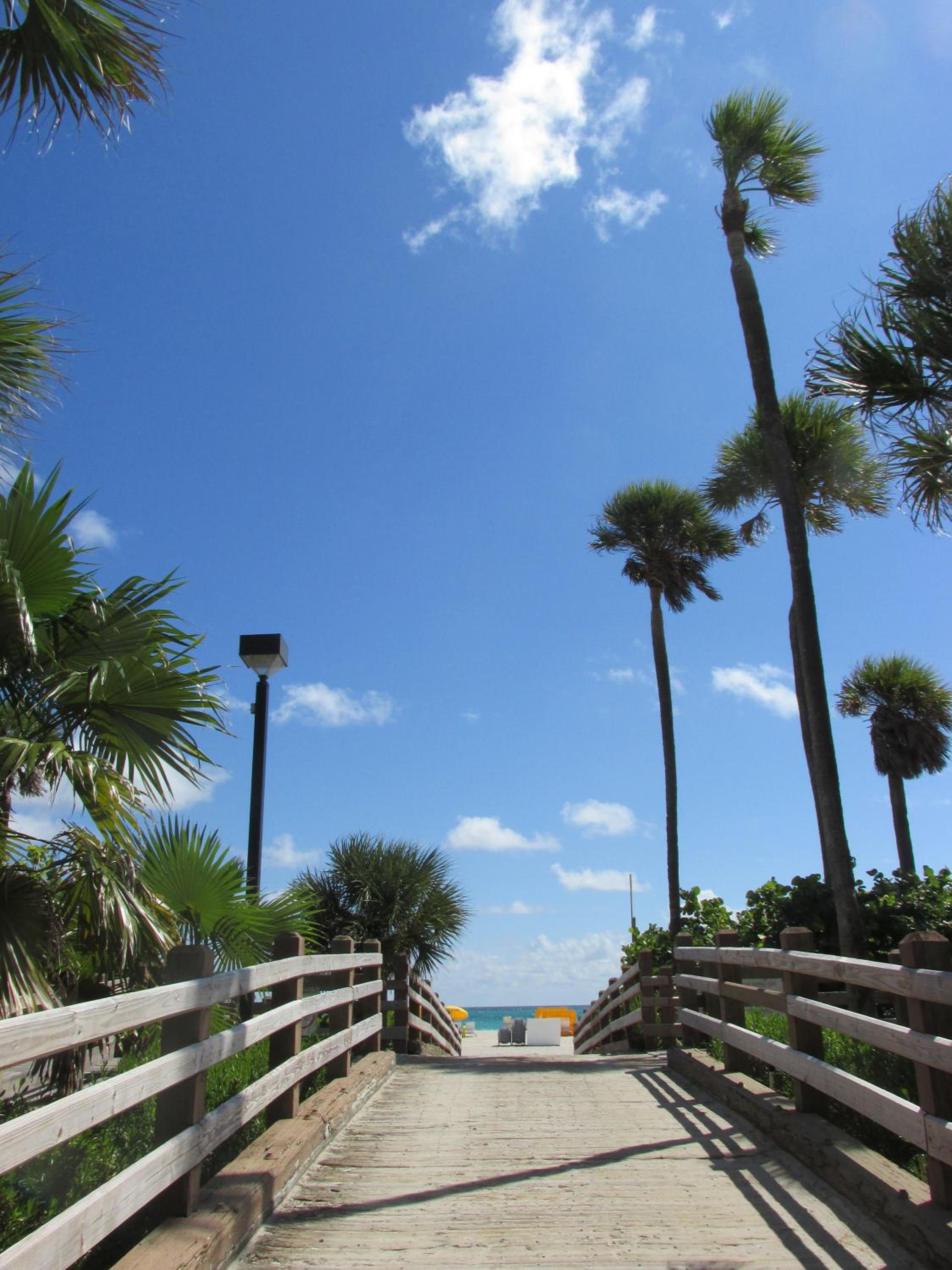 Ocean Blue view 4