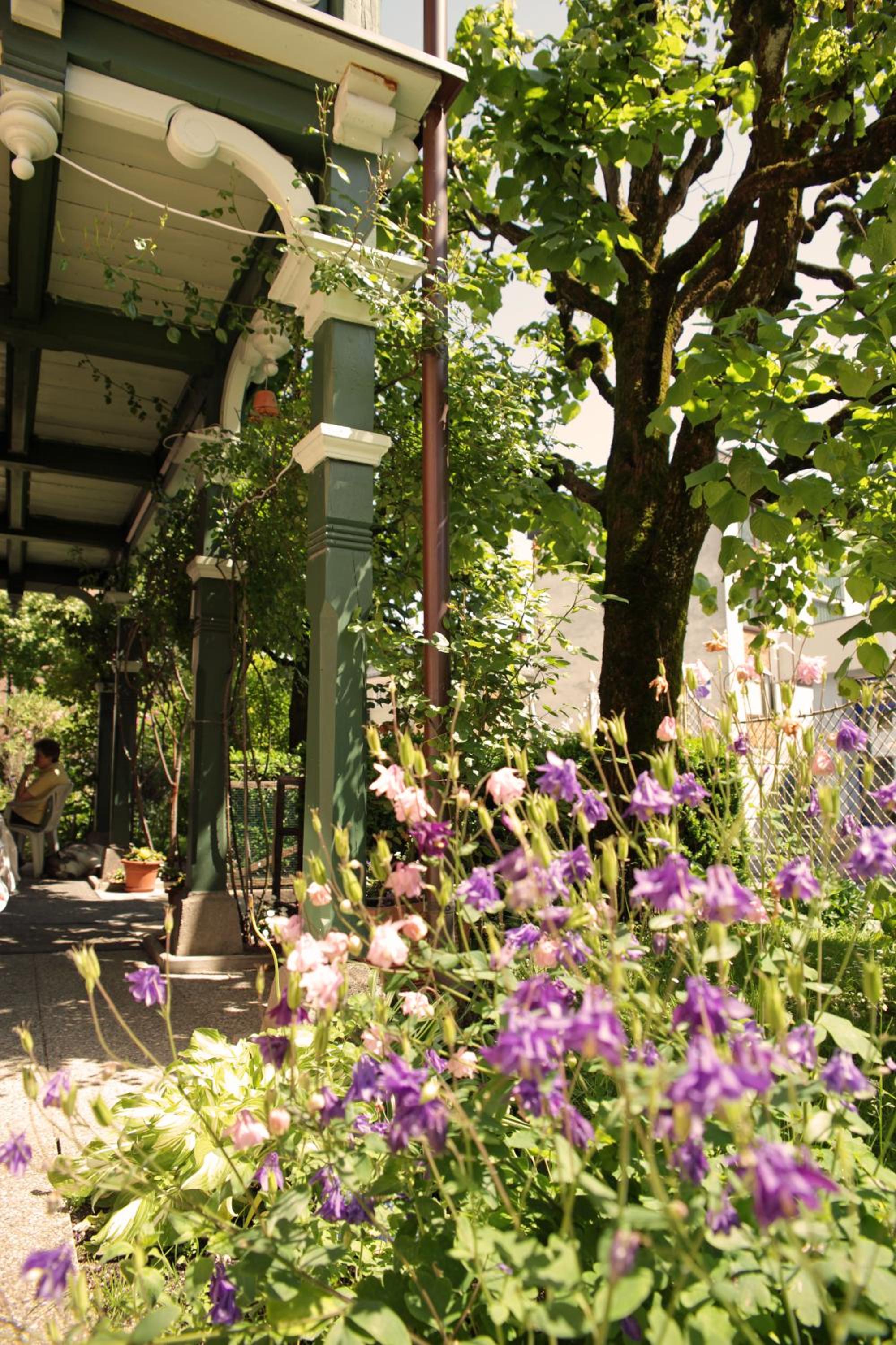 Apartment Haus Braumandl