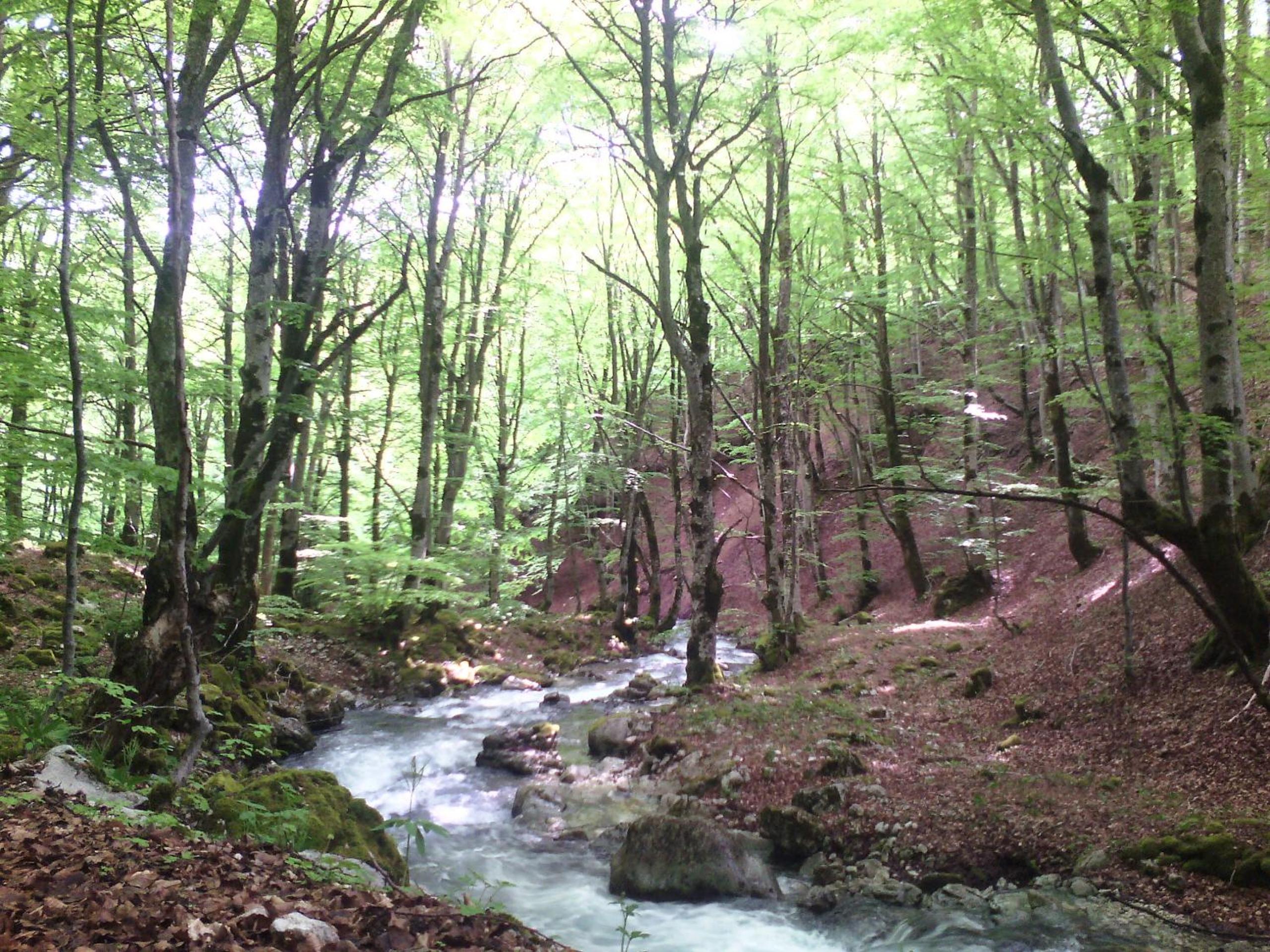 Photo 34