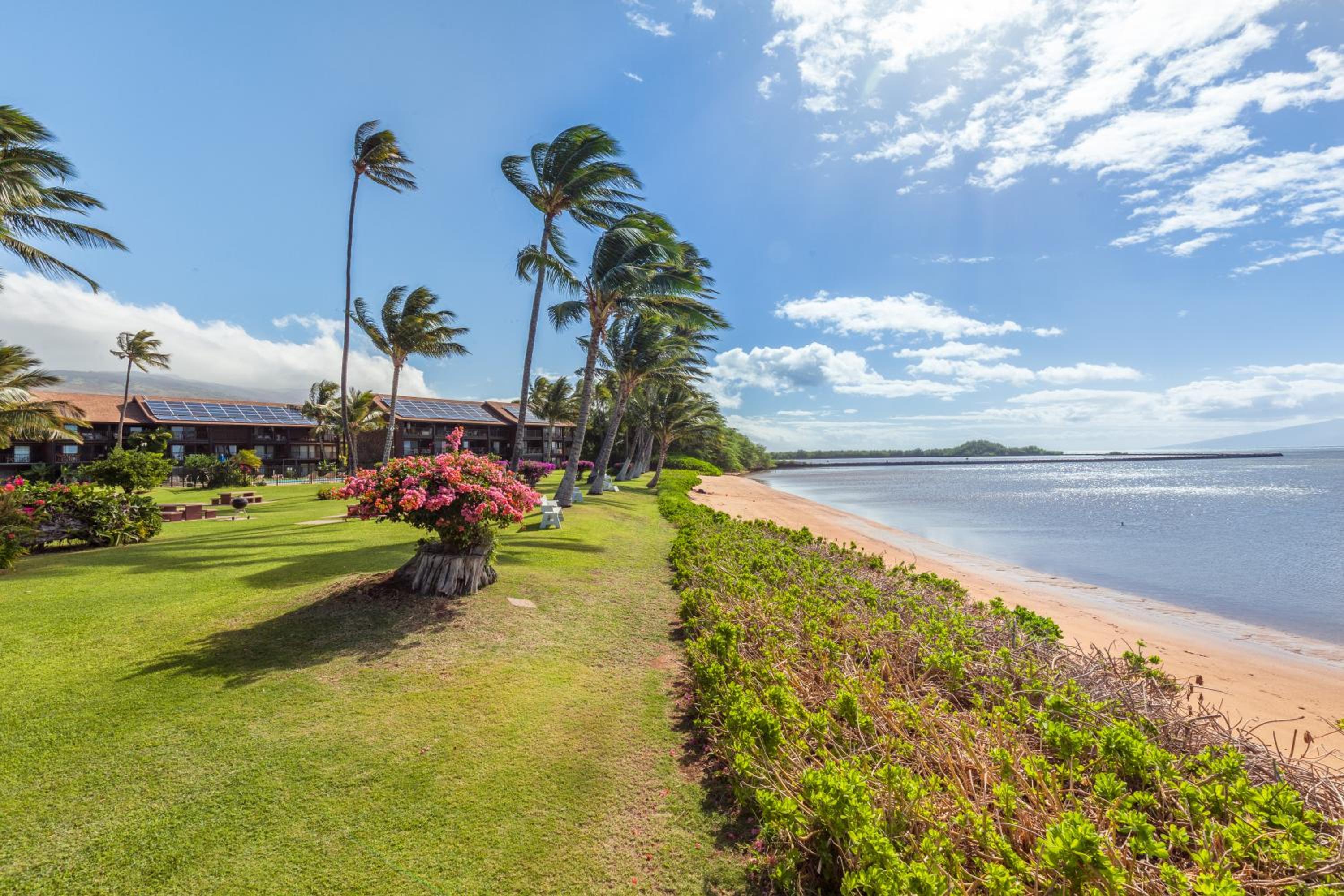 Molokai Vacations - Castle at Moloka'i Shores - Property Image 5