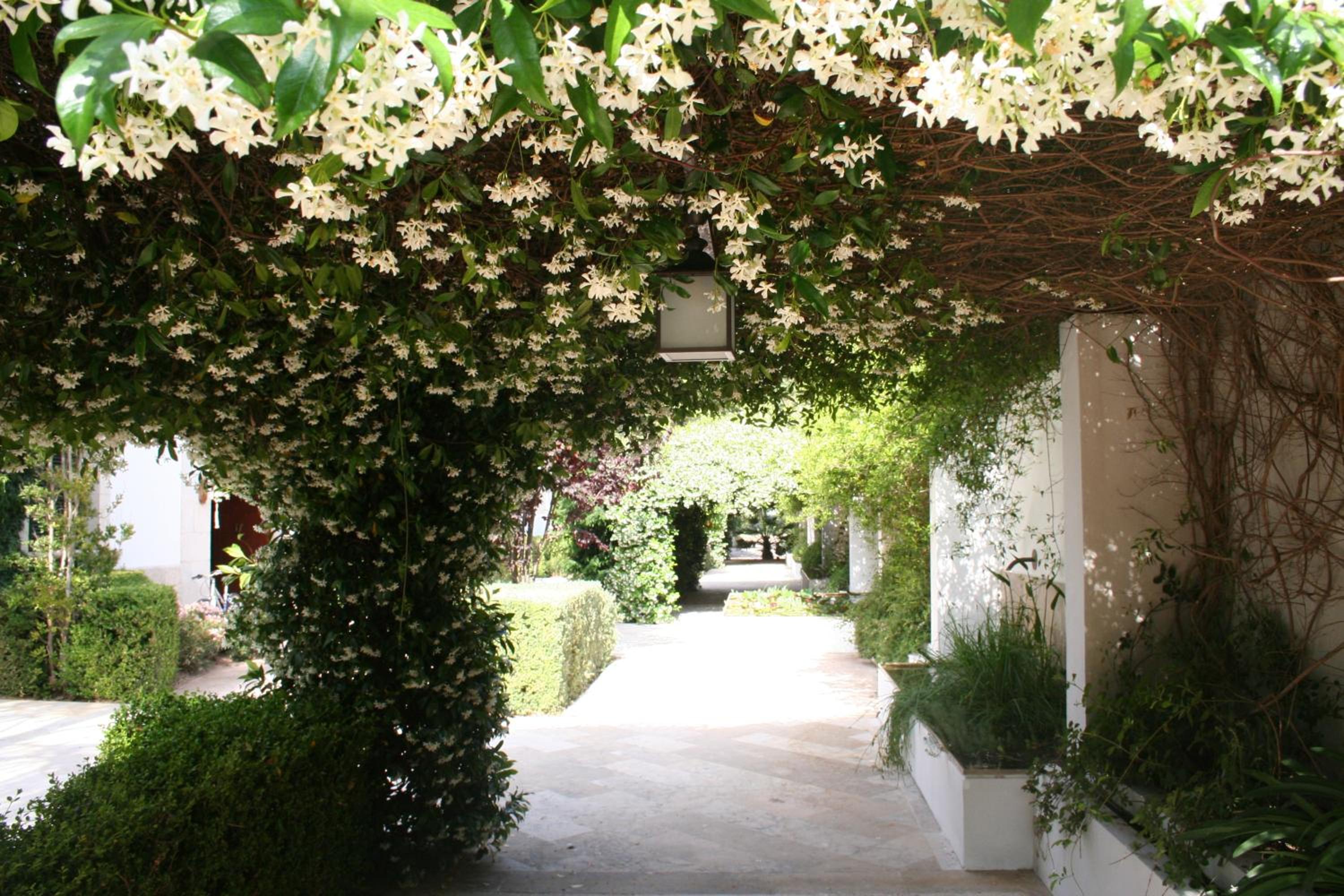 Alfabia Nou Agroturismo