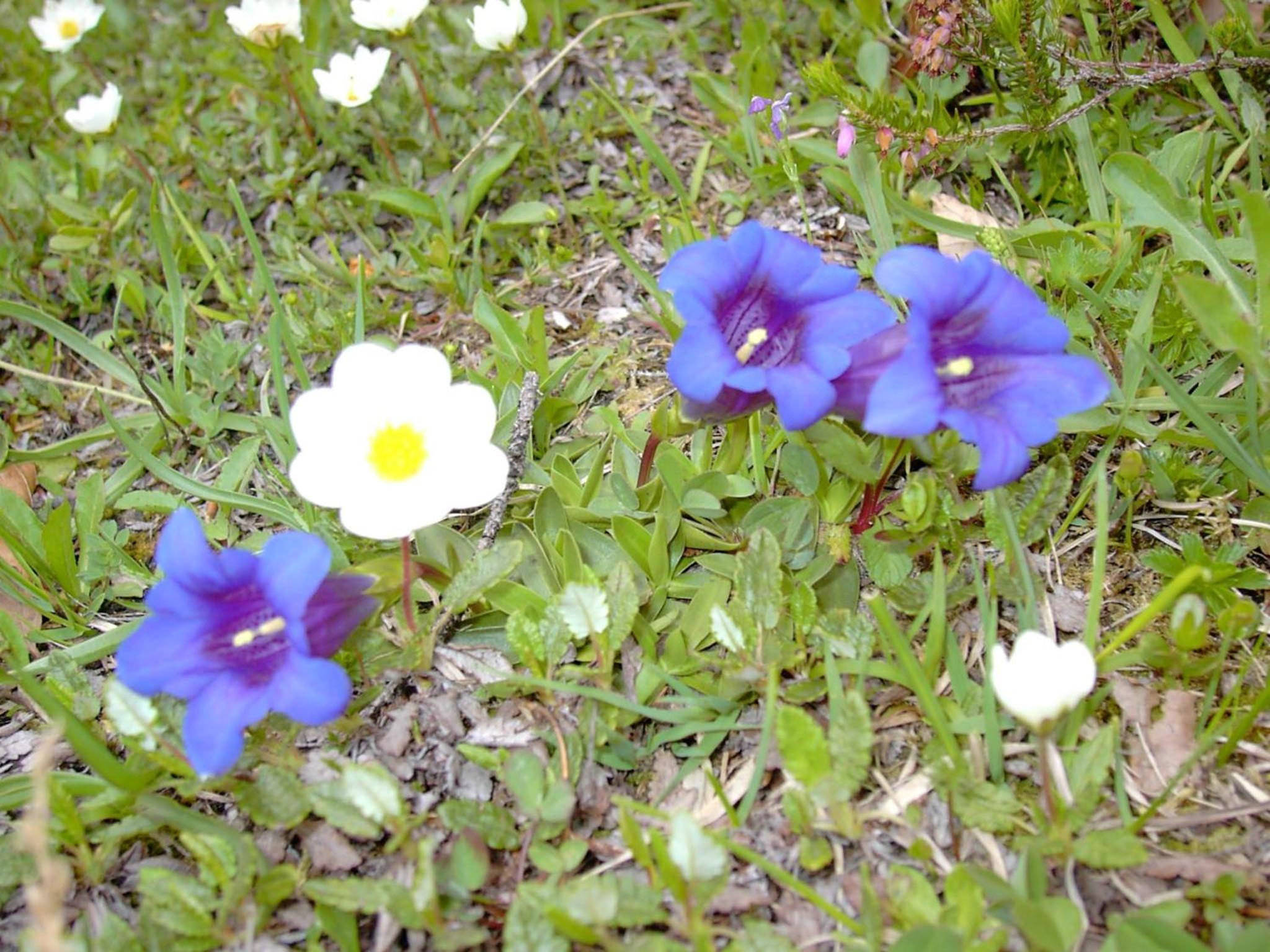 Photo 14