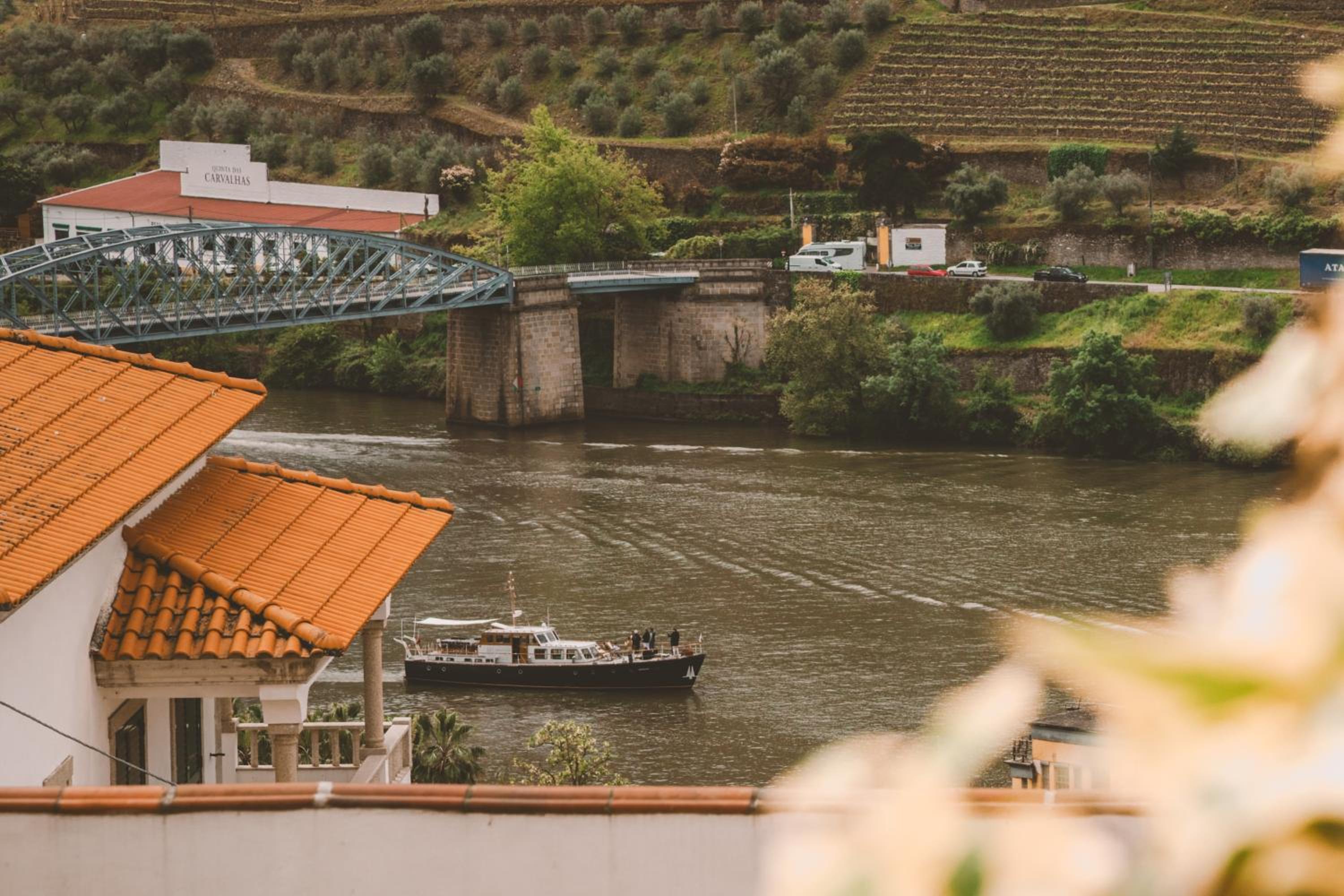 Douro Panorama Valley