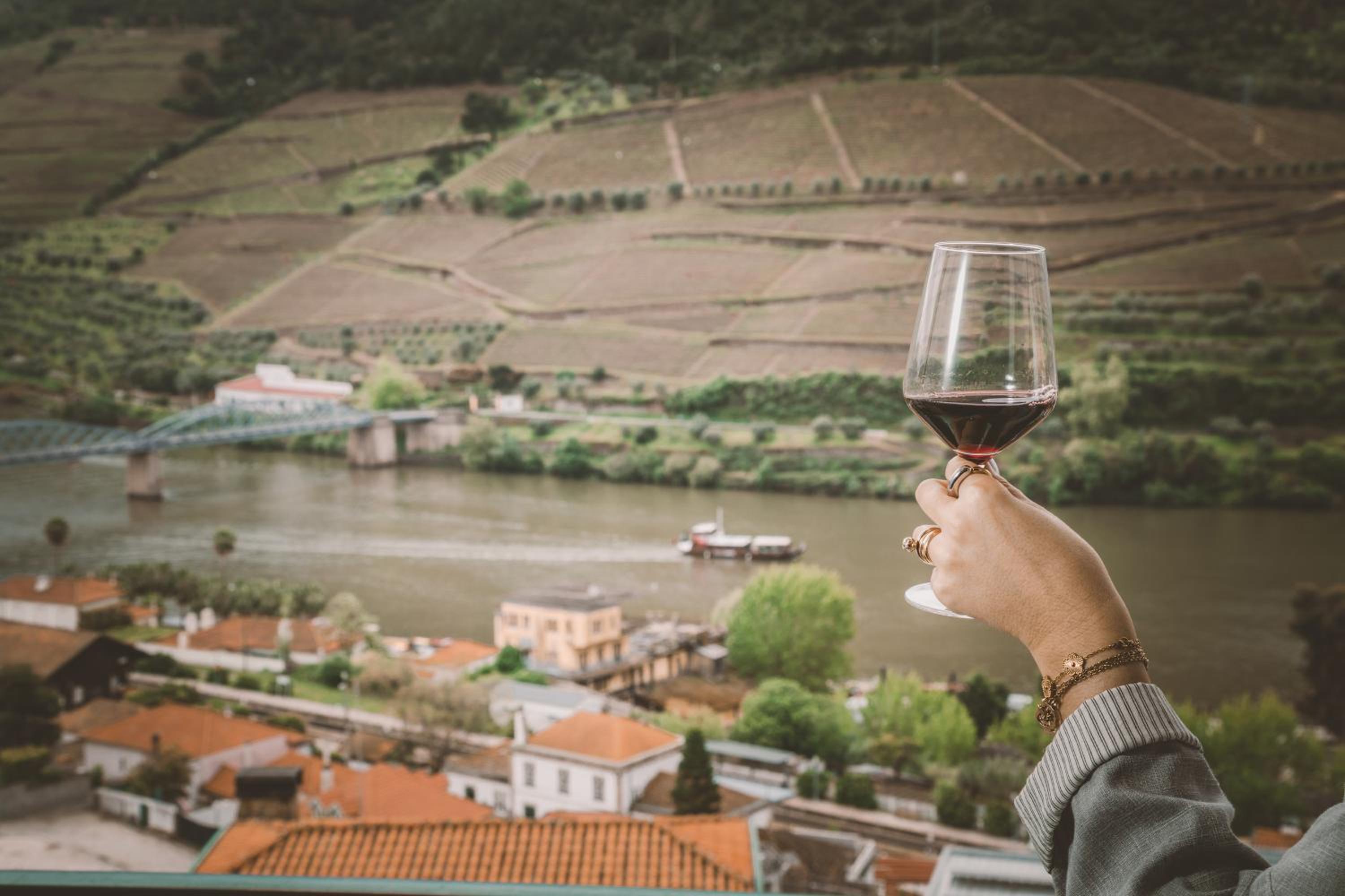 Douro Panorama Valley