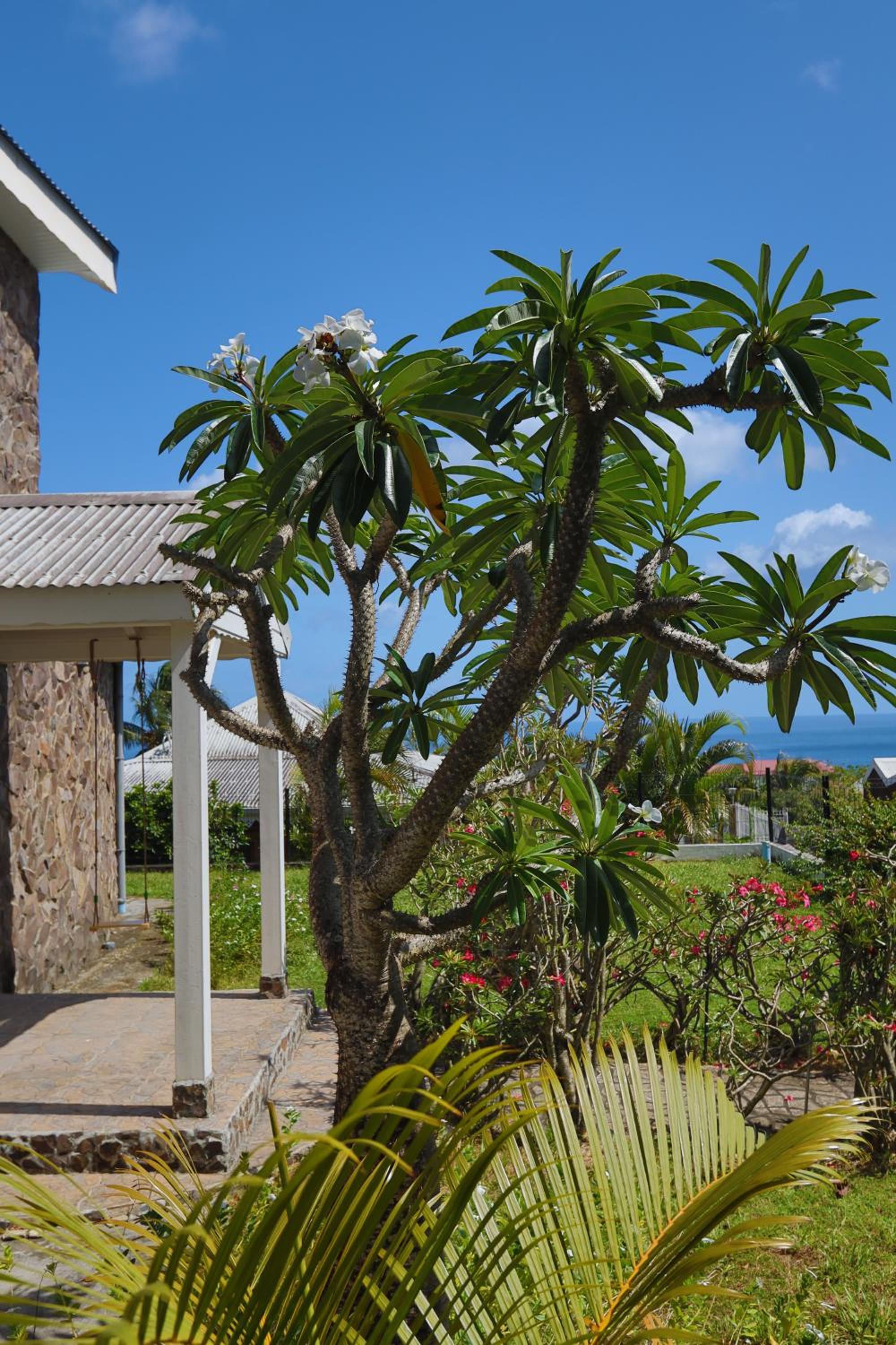 L'Hacienda