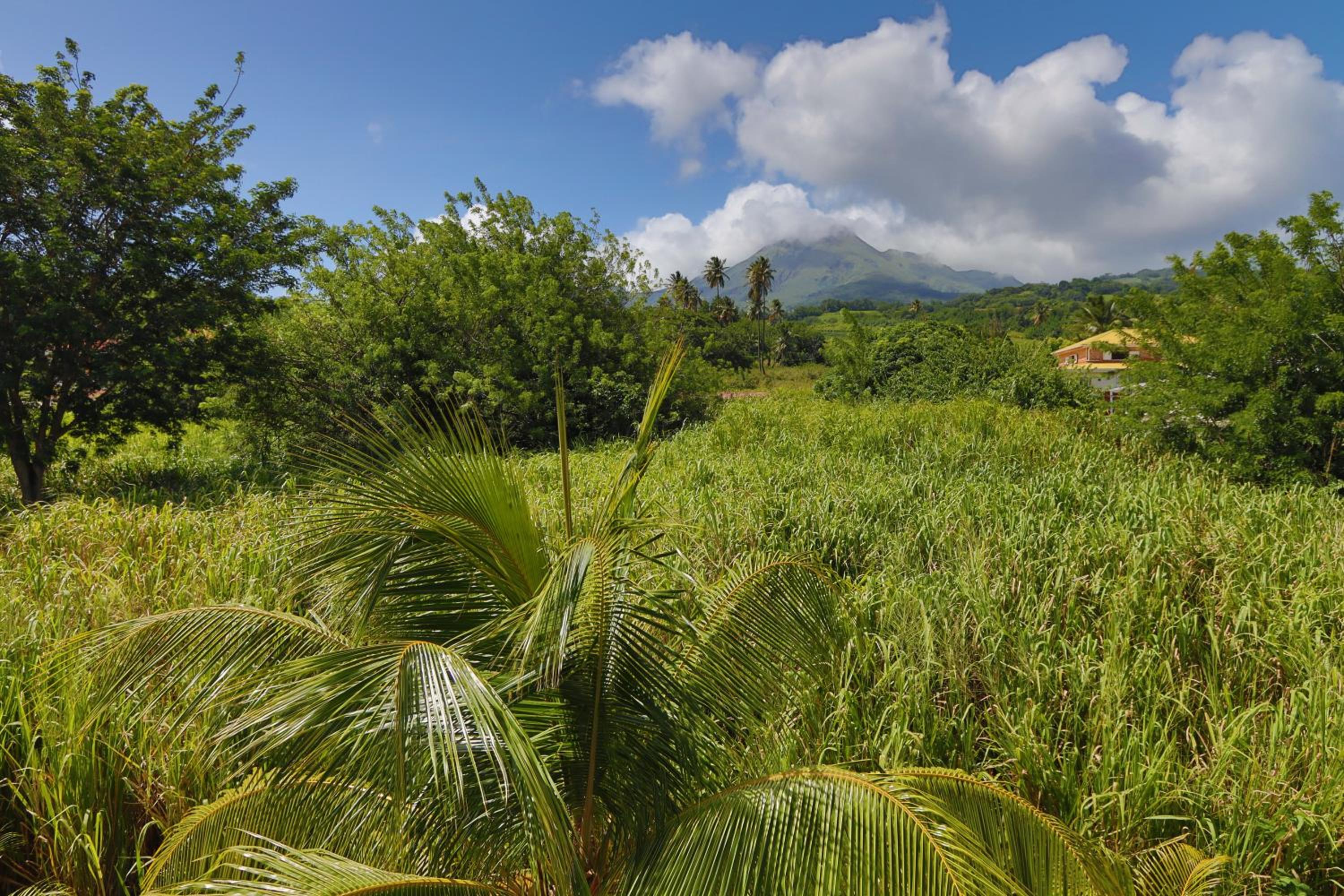 L'Hacienda