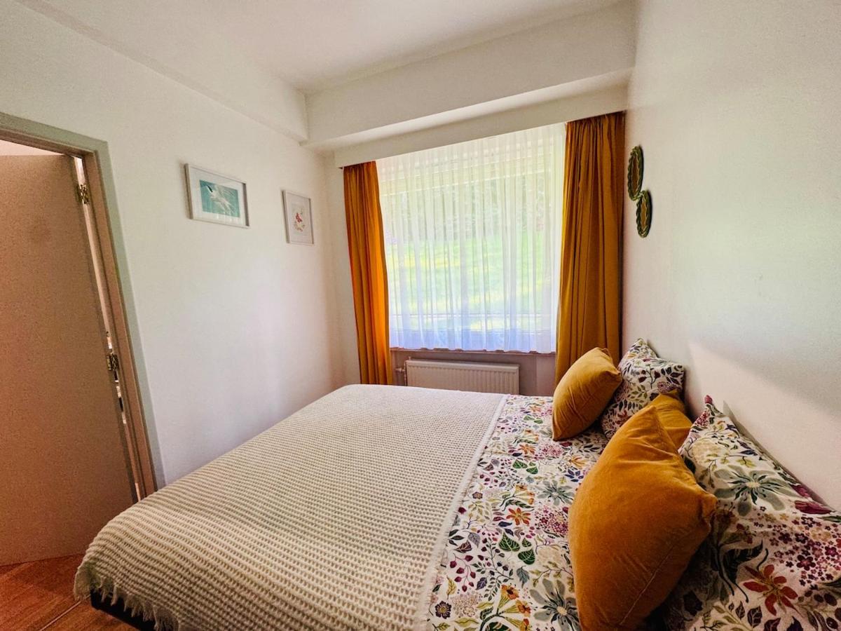 Sunflora Apartment