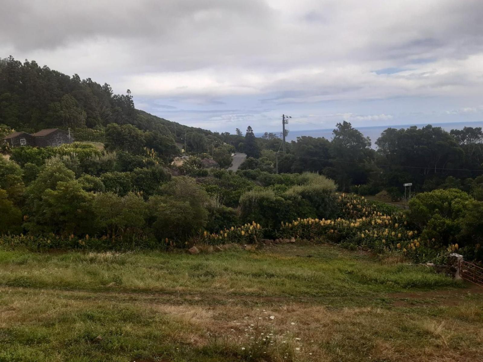 Liiiving in Açores - Casa de Foros