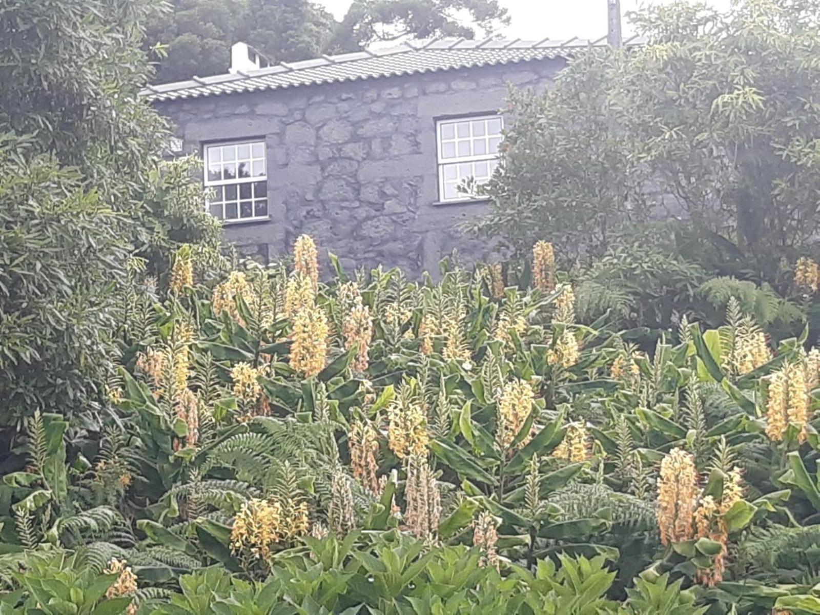 Liiiving in Açores - Casa de Foros