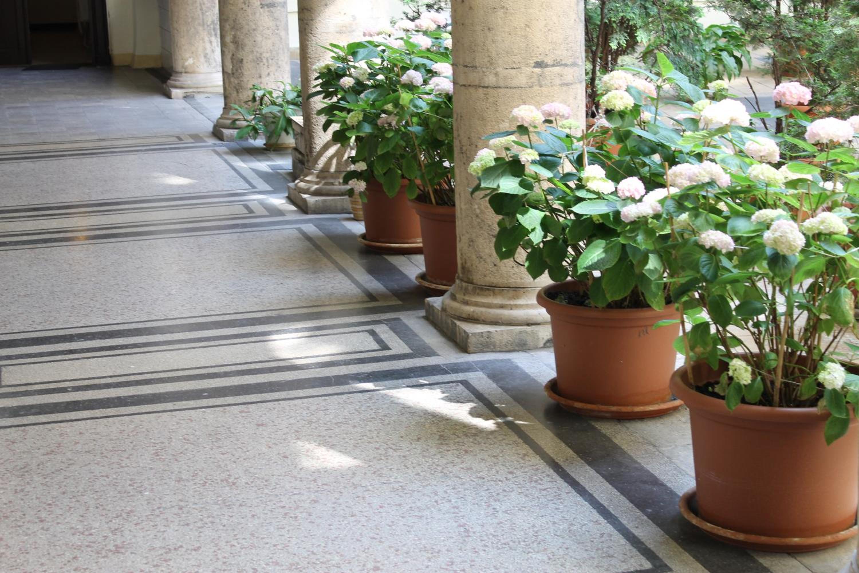 Omega Guesthouse Budapest
