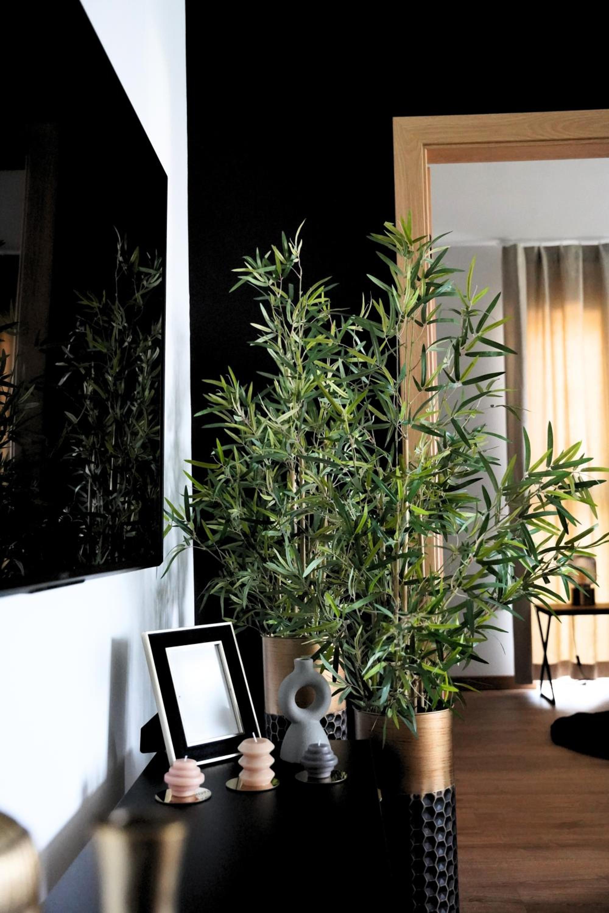 Apartamenty STUDIO, photo 28