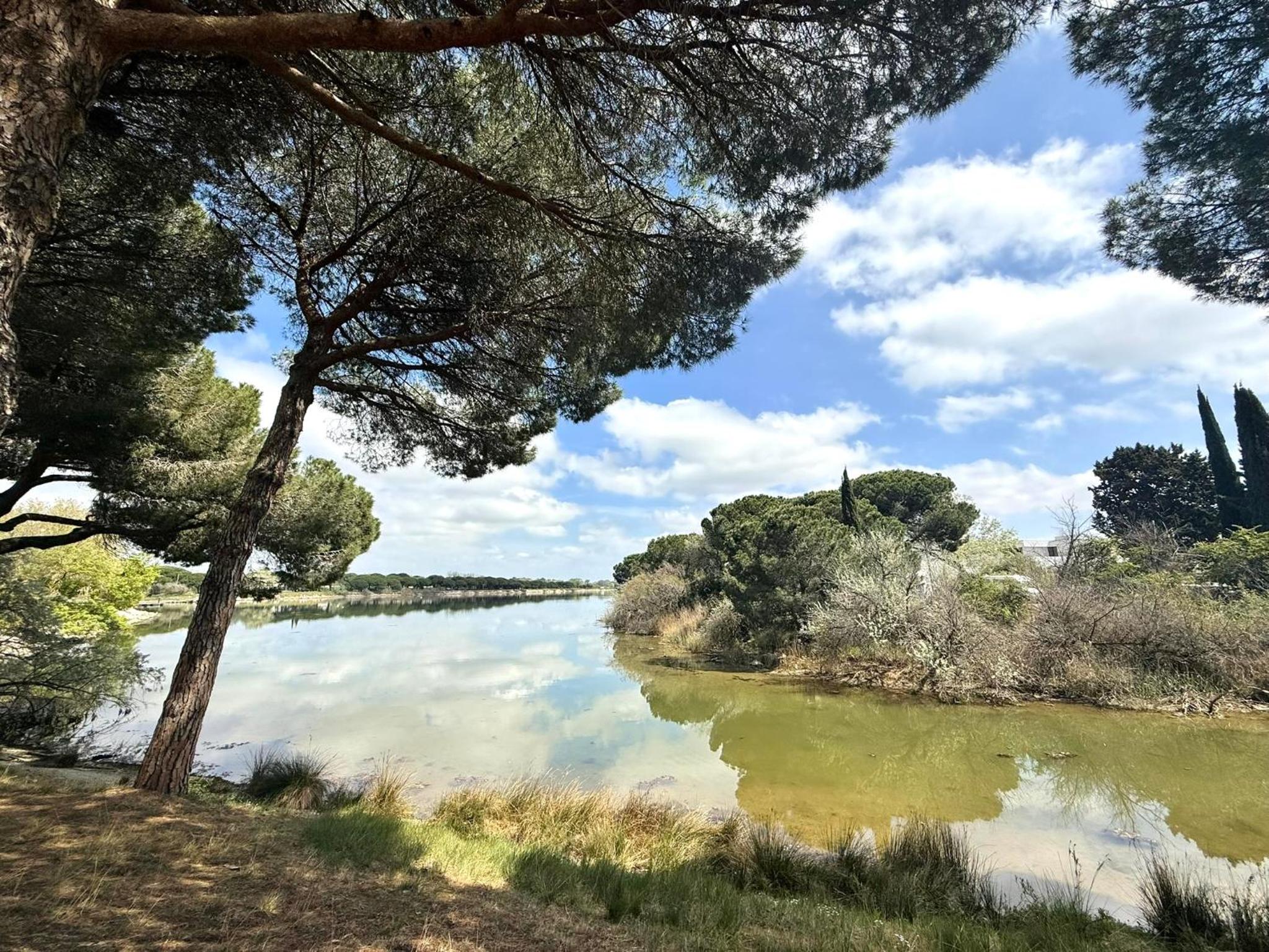 Studio 4pers La Grande Motte Ponant, Vue exceptionnelle lac, double terrasse, Parking, base nautique, golf & plage à pied, draps & serviettes fournis - 2èm