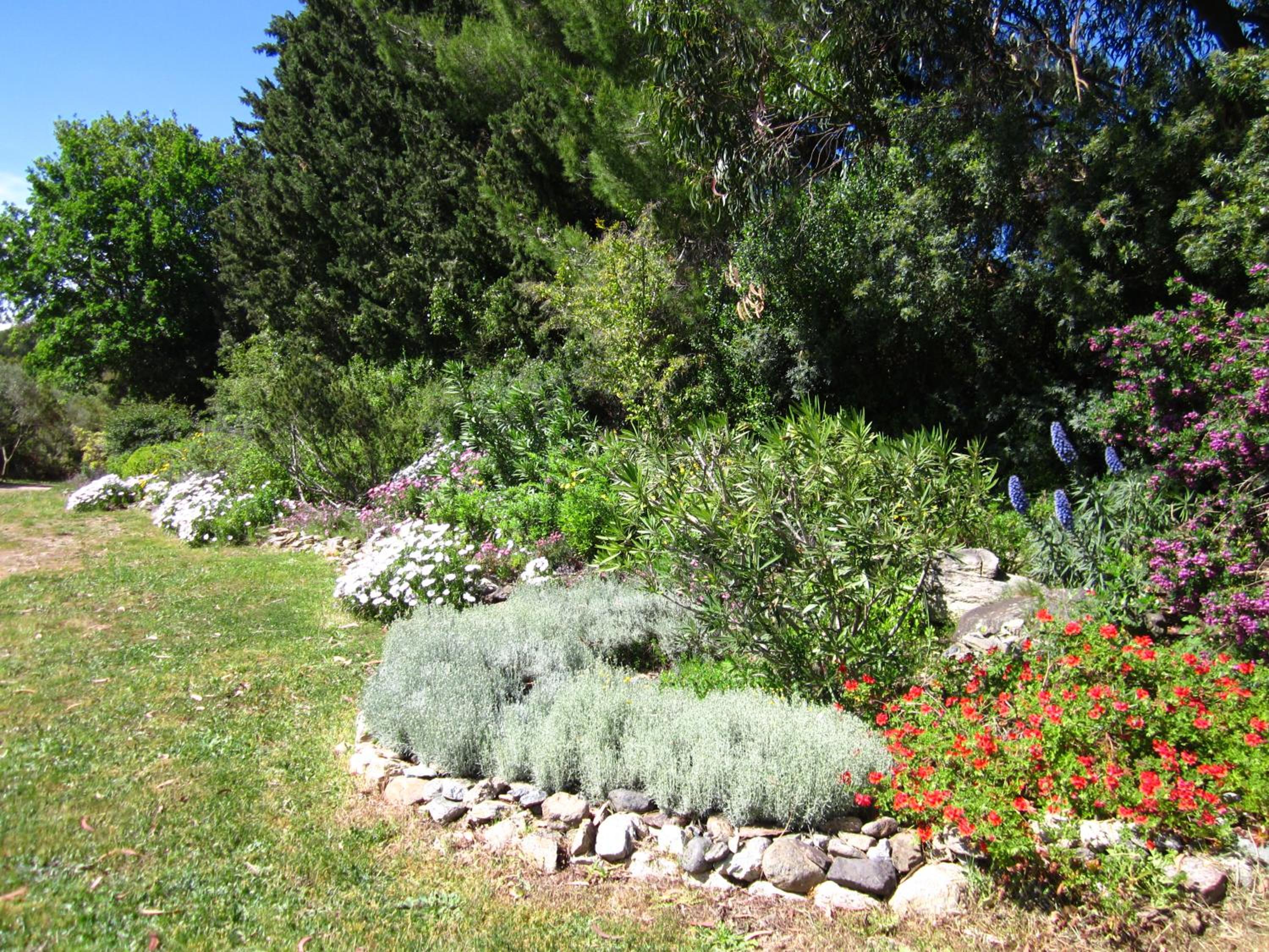 Photo 26