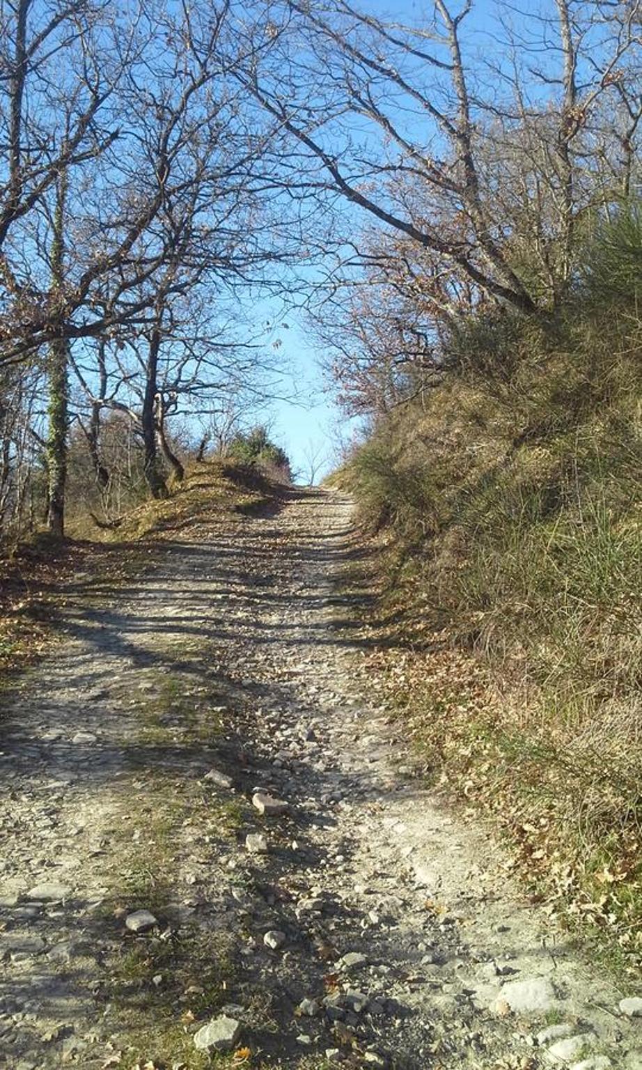 Agriturismo al Monte