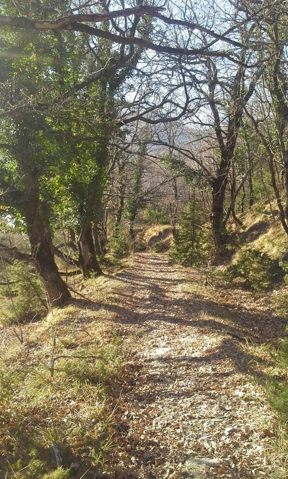 Agriturismo al Monte