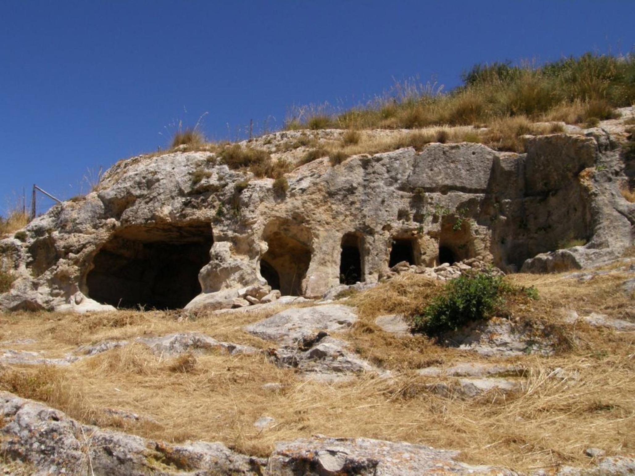 Photo 20